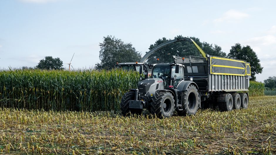 Trator moderno colhendo milho em um dia ensolarado de outono, representando eficiência na logística agrícola.