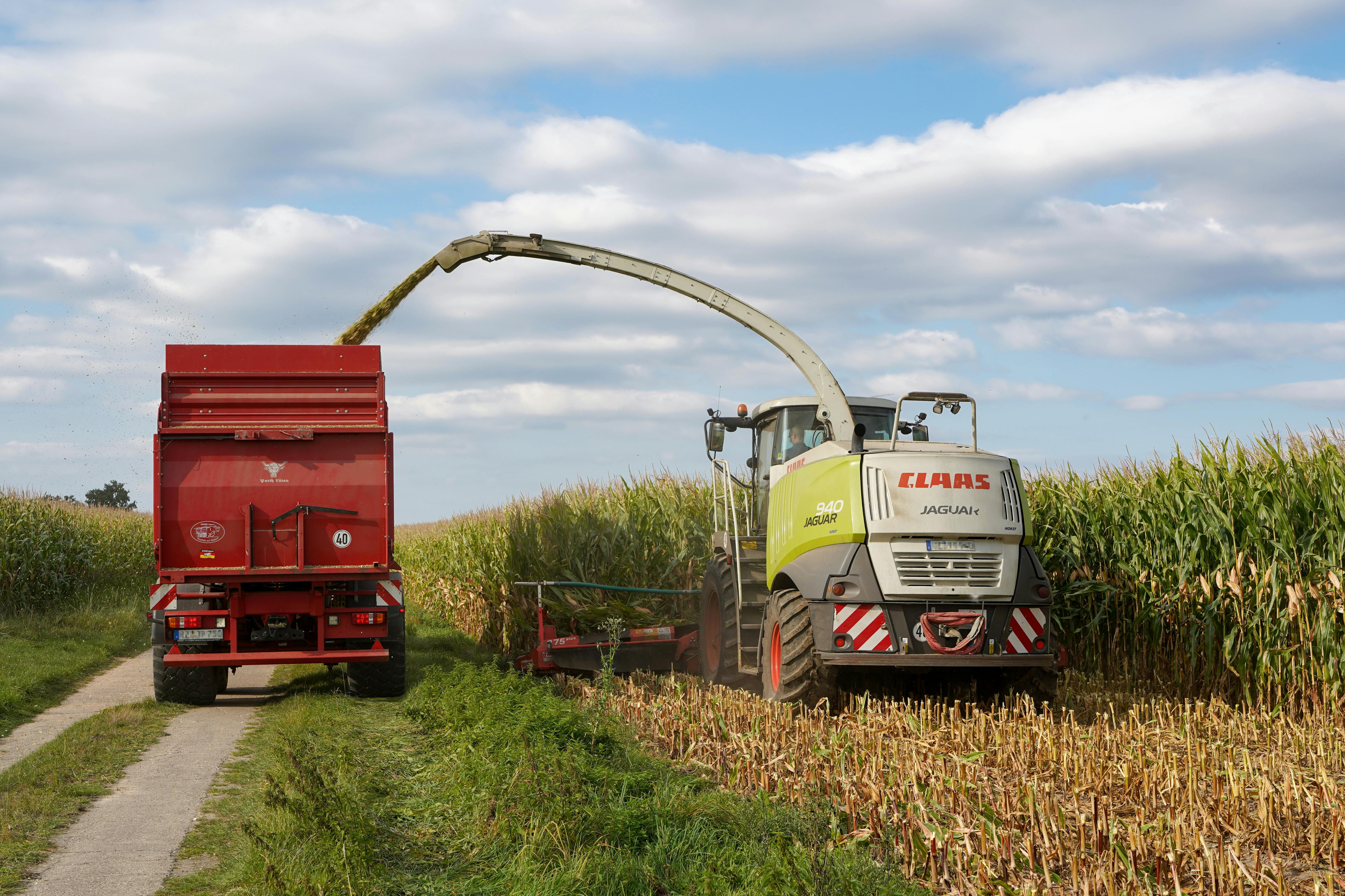 智生活重大資訊公告解析：市場動態與投資機會