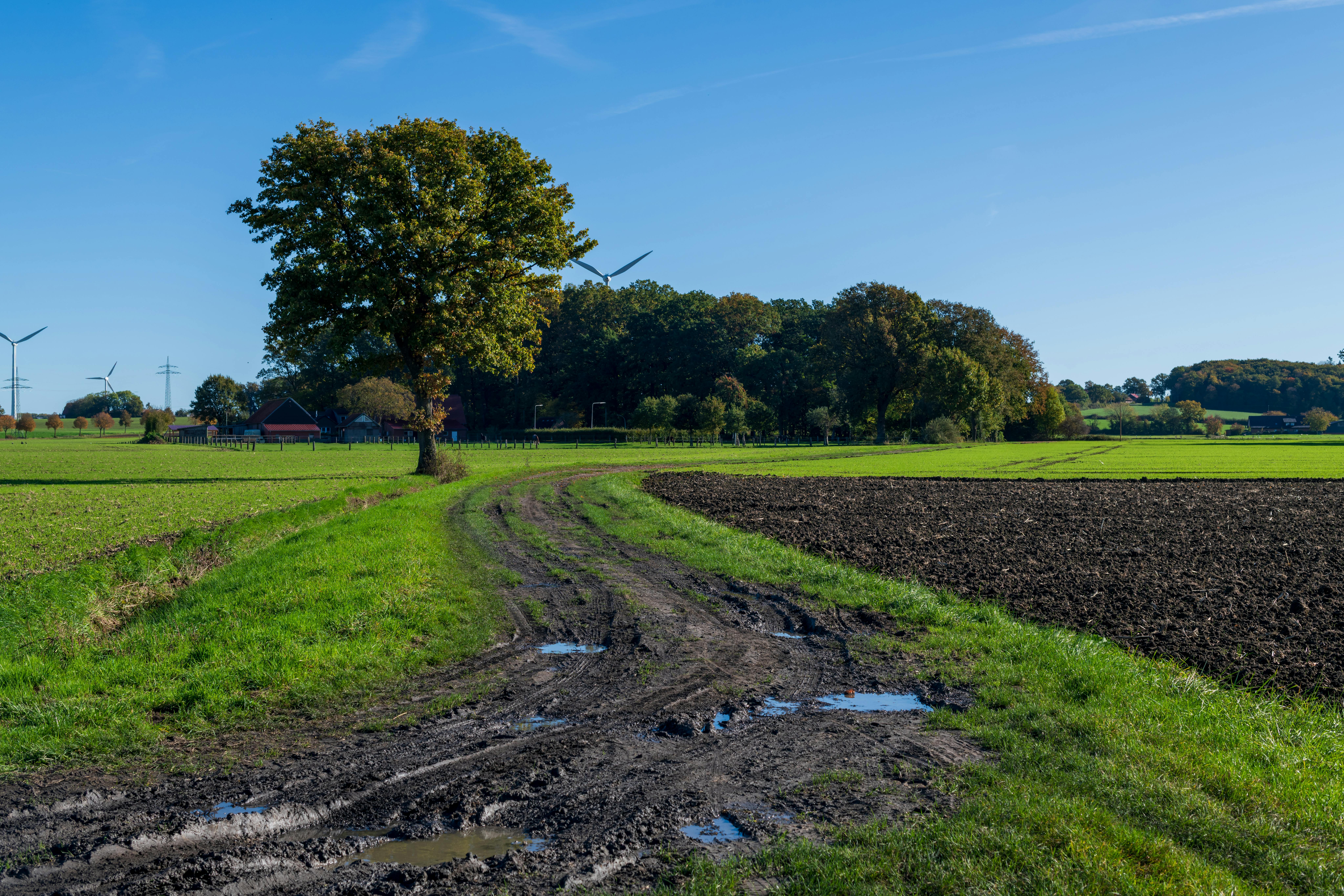 財經：智通ADR統計解析：10月24日港股表現一覽