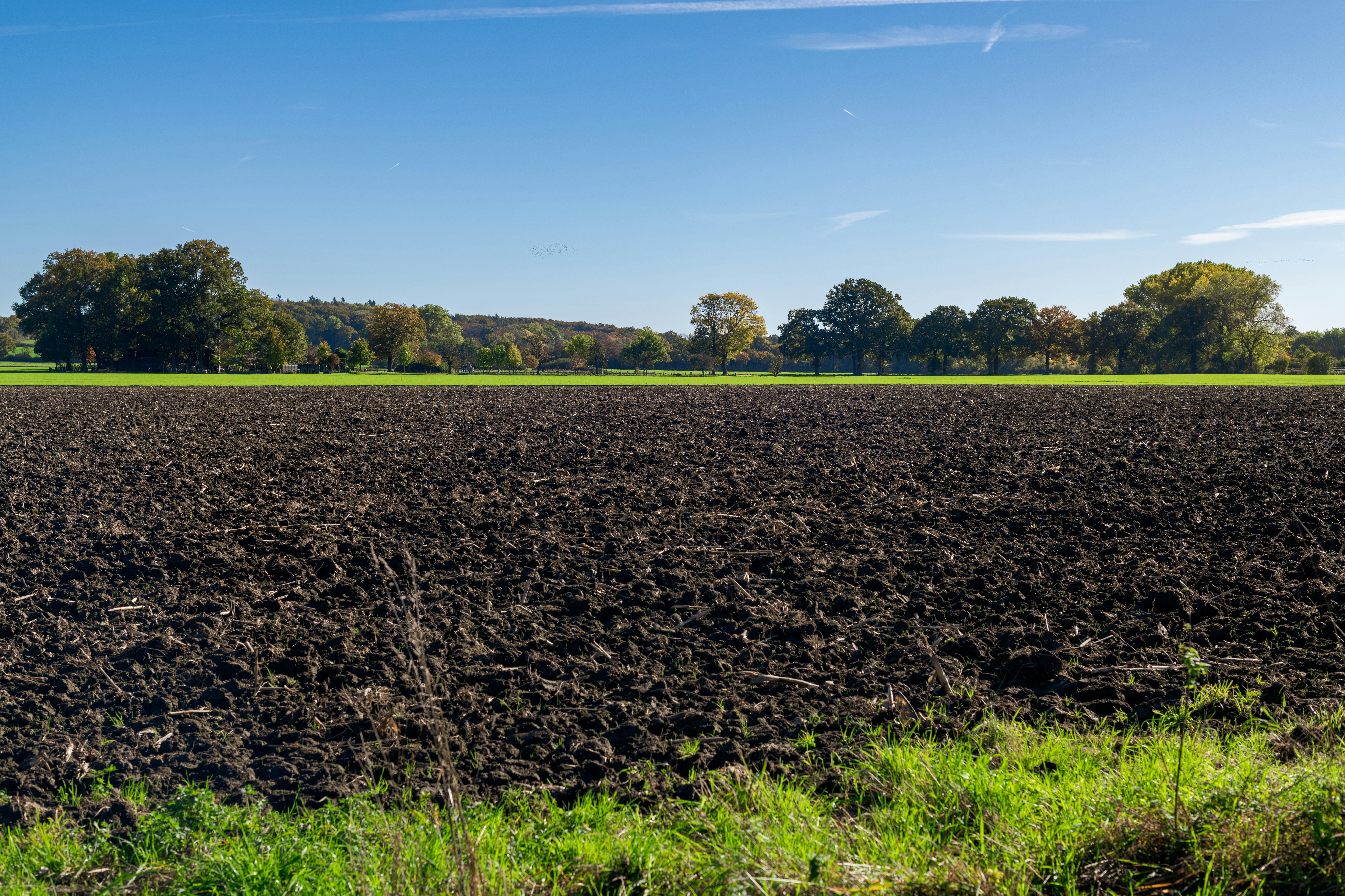 Revolutionary Sustainable Habits for a Greener Future