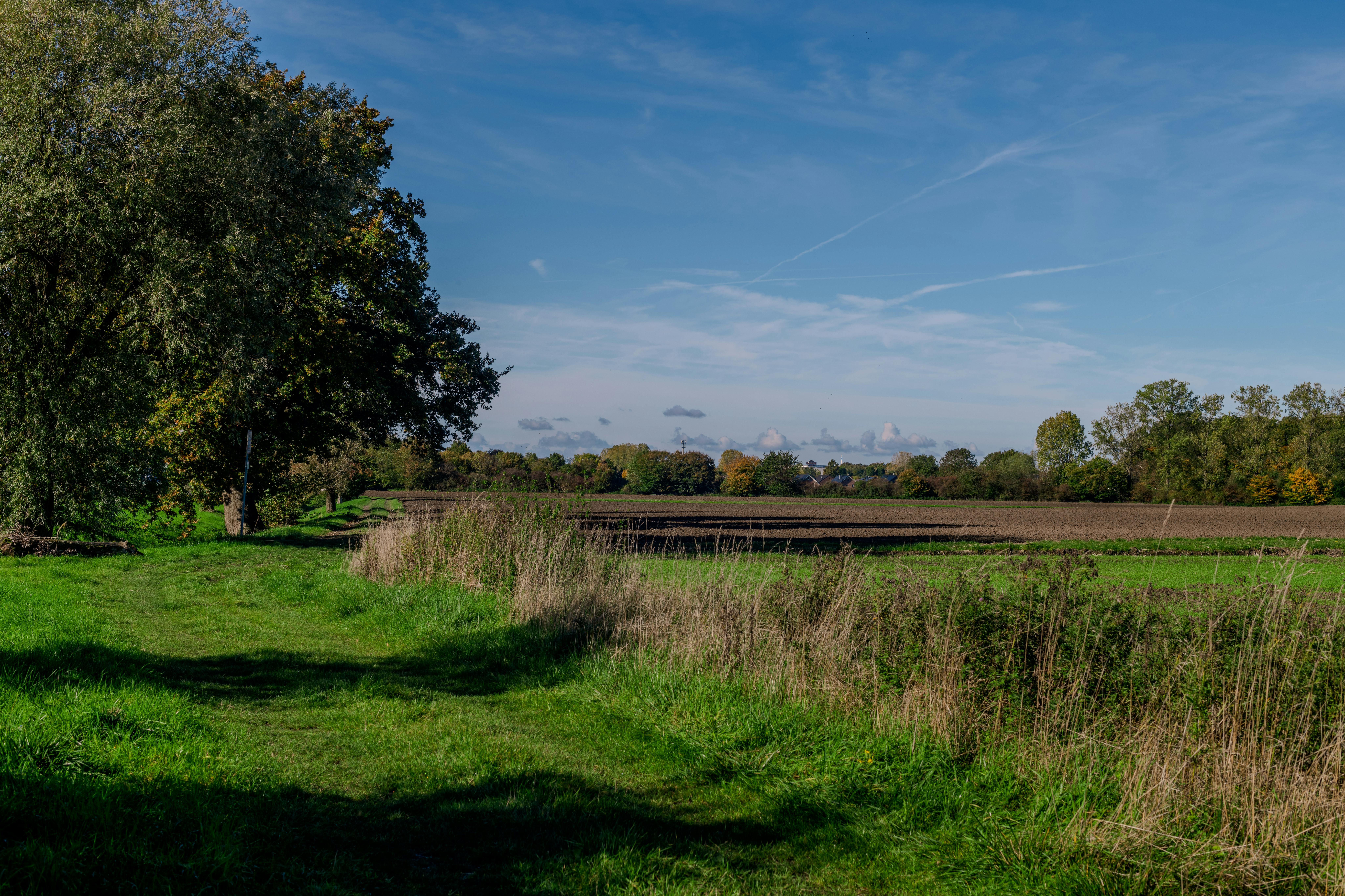 00965 ETF逆勢上漲1.3%，受惠美韓合作與日本政治穩定