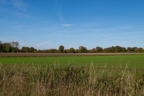 Free Scenic view of a vibrant green field against a clear blue sky, capturing the beauty of rural landscapes. Stock Photo