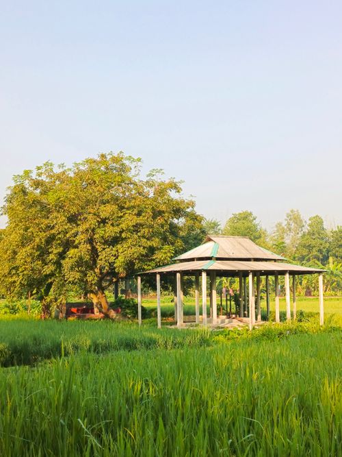 Free Tranquil rural scene featuring a gazebo and lush greenery under a clear sky. Stock Photo
