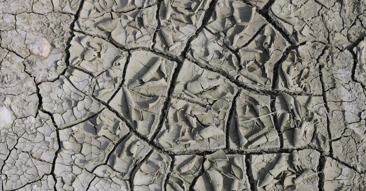 Photo by Nurselin Demir Close-up image of cracked, dry soil illustrating effects of severe drought.