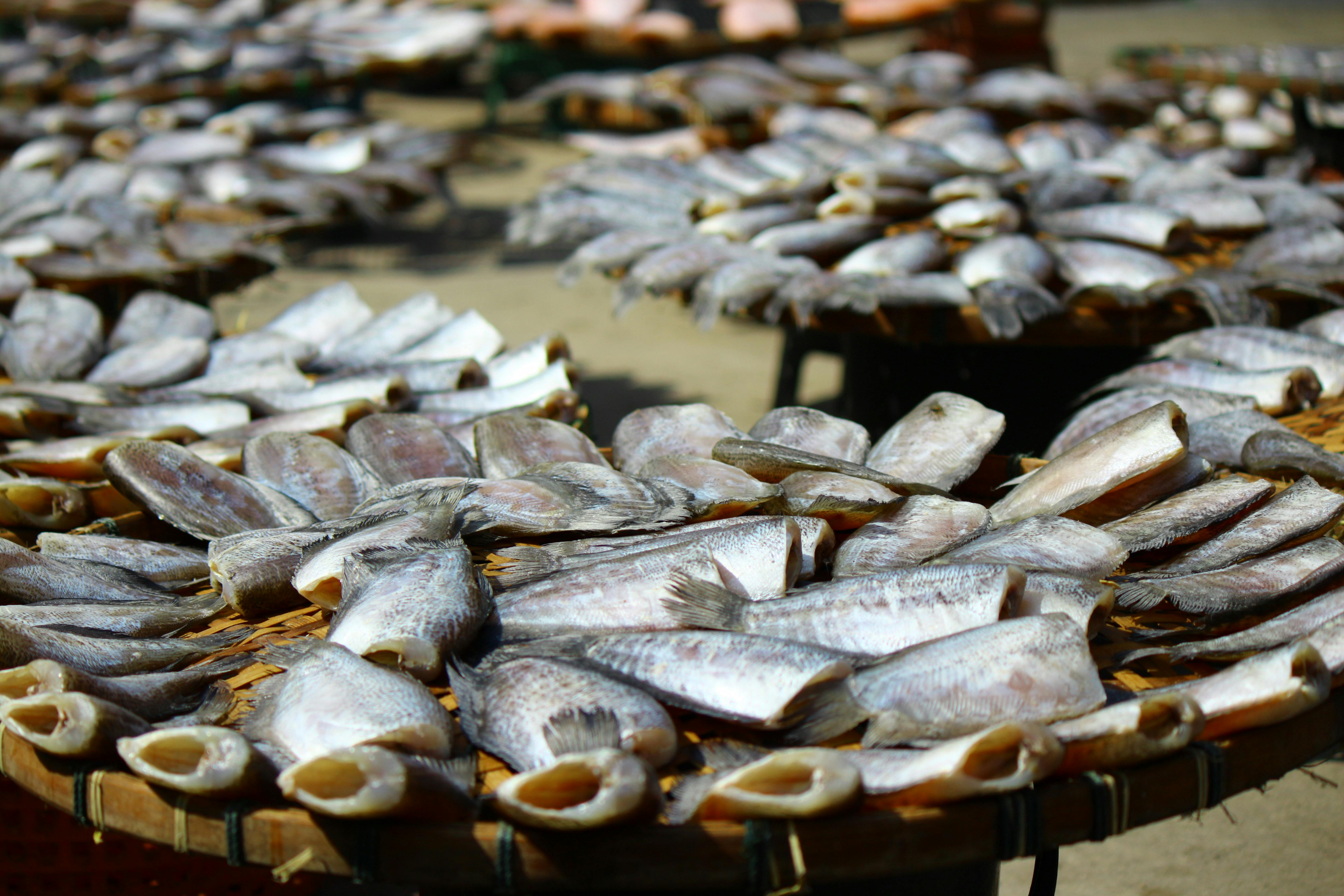 期貨上漲與美國CPI延遲公布，福特盈利成焦點—今日財經5大要聞