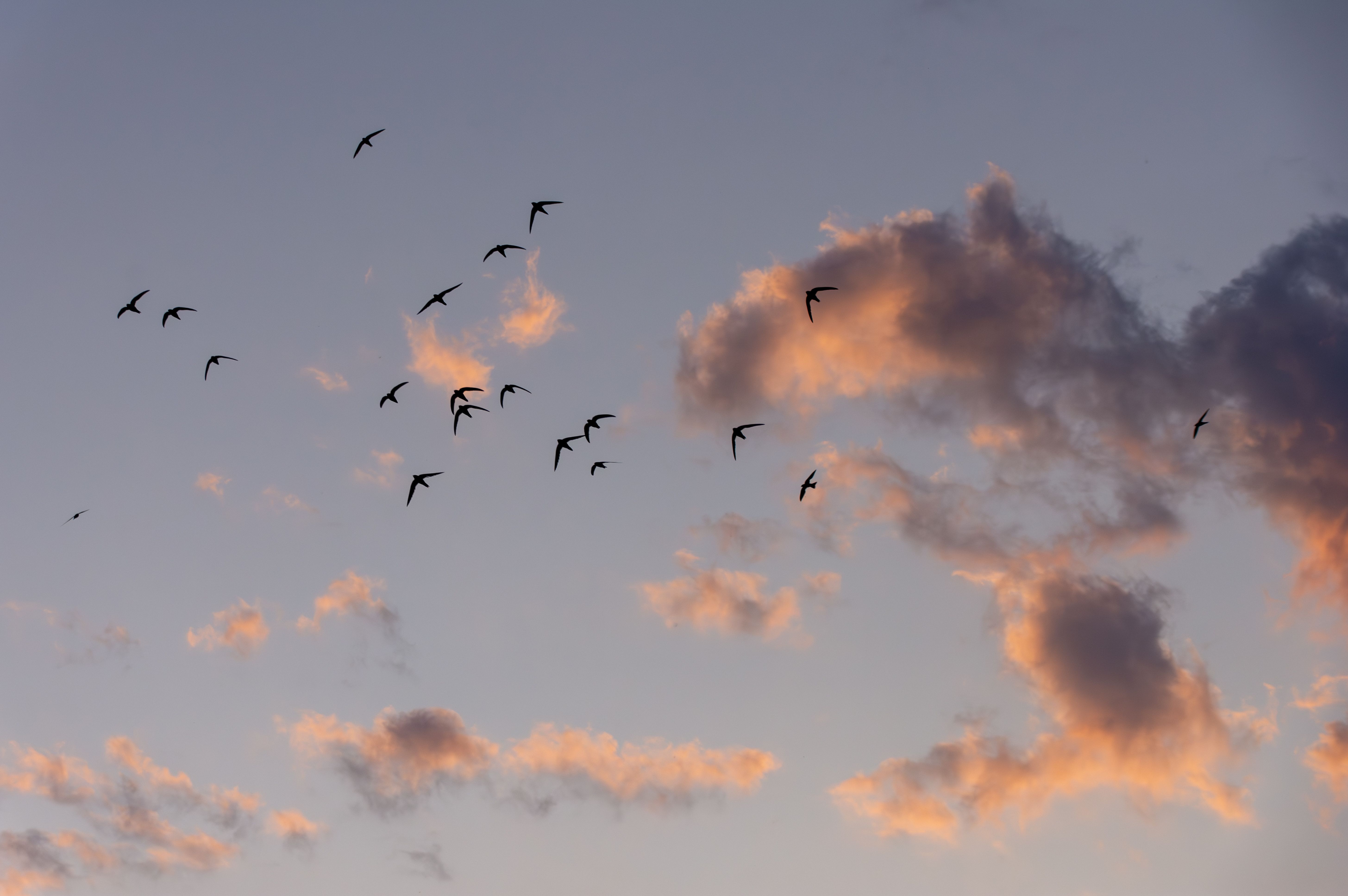 Foto: wal_ 172619 / Pexels