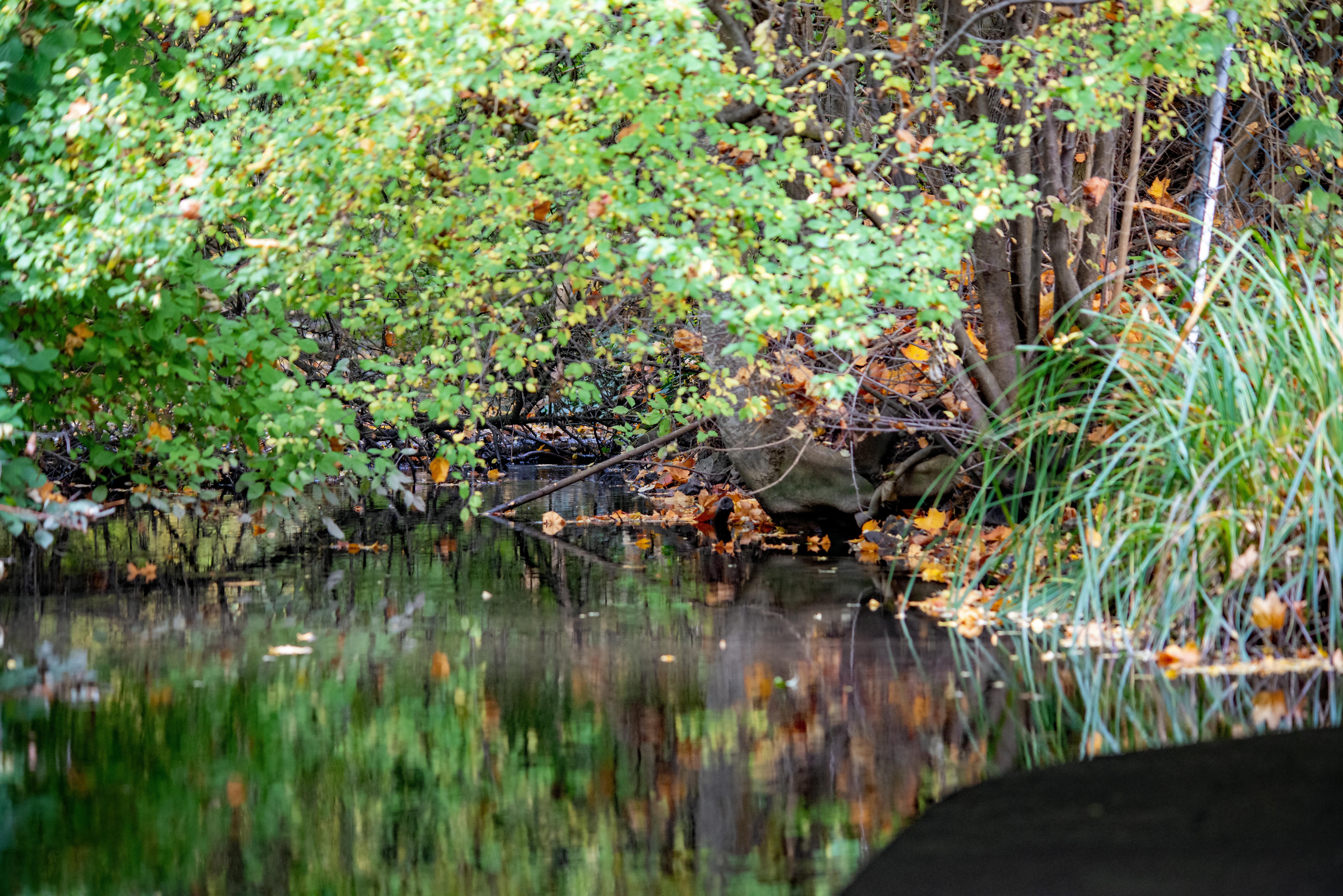 國際：2026南投集集半程馬拉松開放報名，挑戰自我享受美景