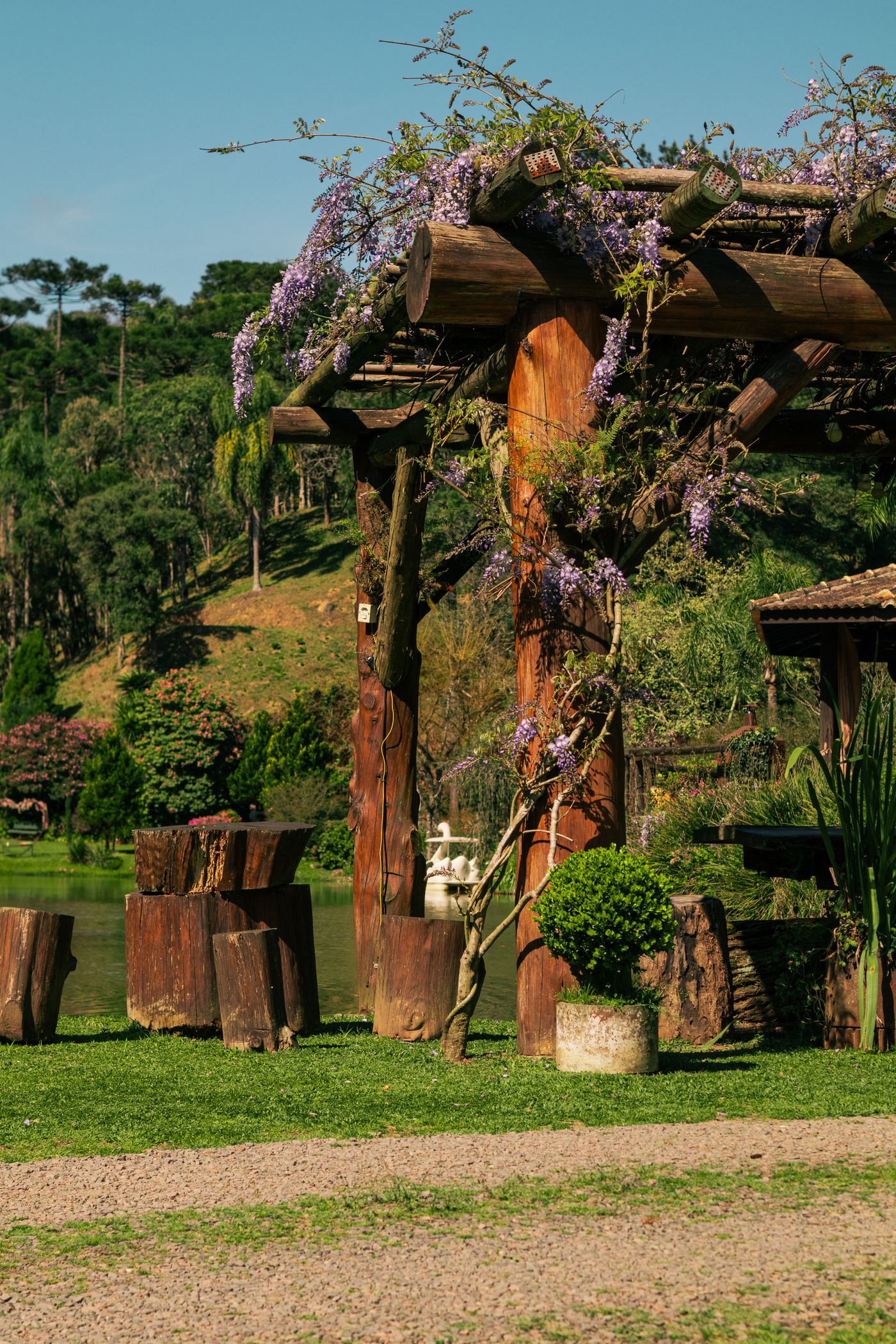 Pergola en bois dans un jardin végétalisé