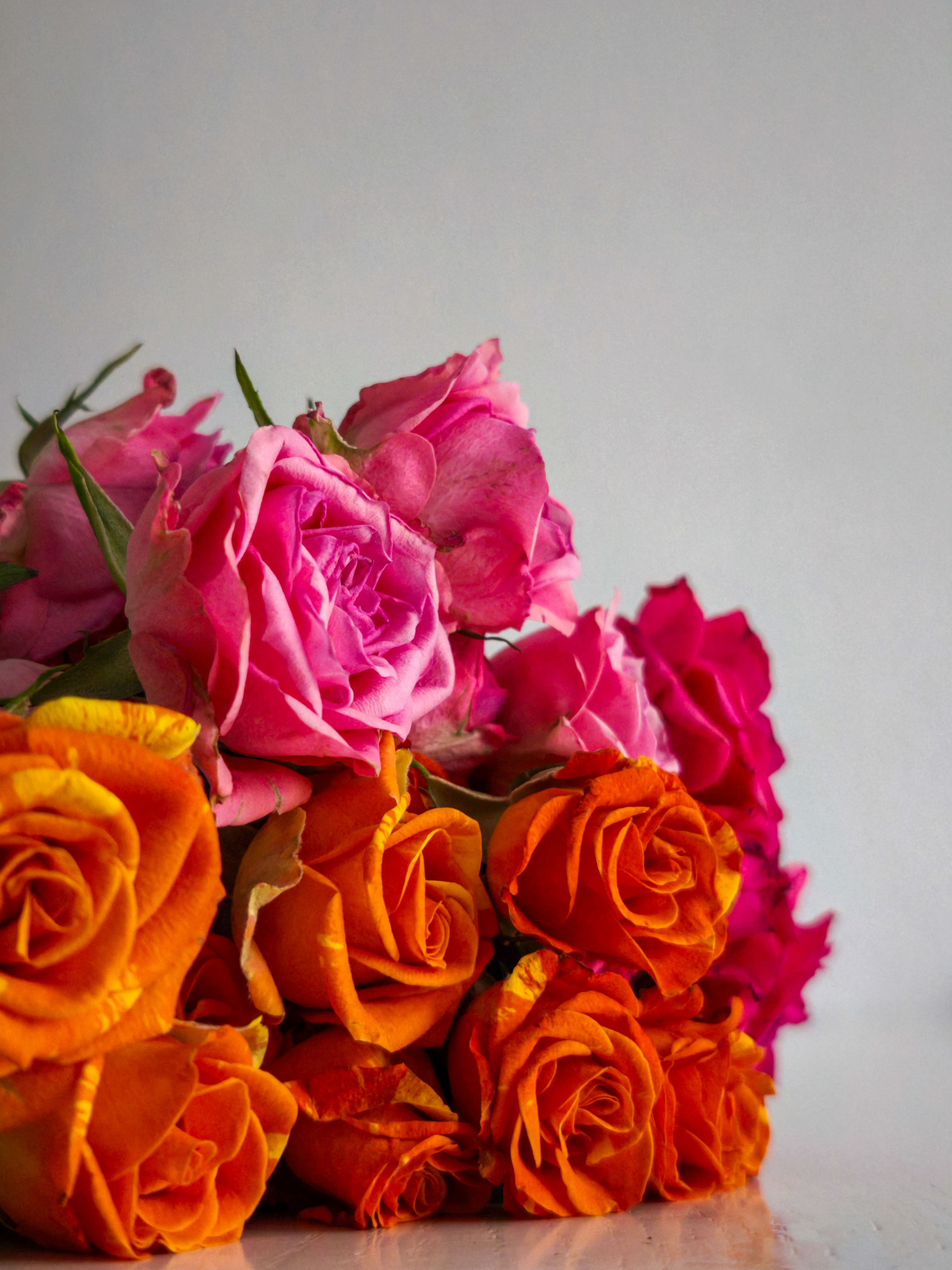Vibrant Bouquet of Pink and Orange Roses · Free Stock Photo