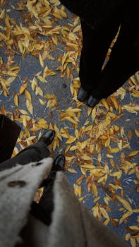 Aerial view of two people on a leaf-covered sidewalk in autumn, showcasing fashion and seasonal atmosphere.