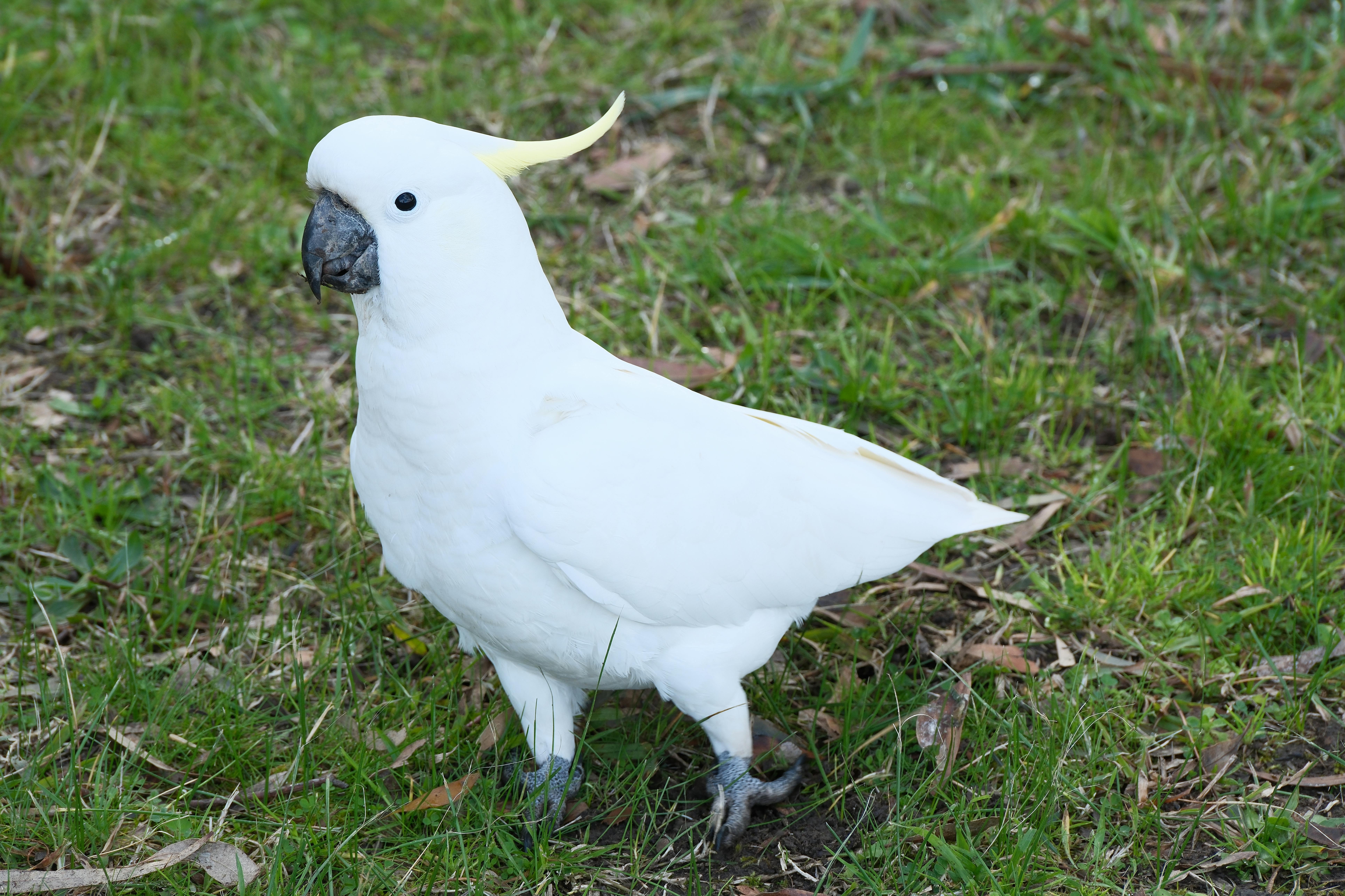 澎湖縣表揚績優清潔人員 陳光復強調公私協力推動綠生活
