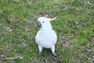 Berry Springs Nature Park