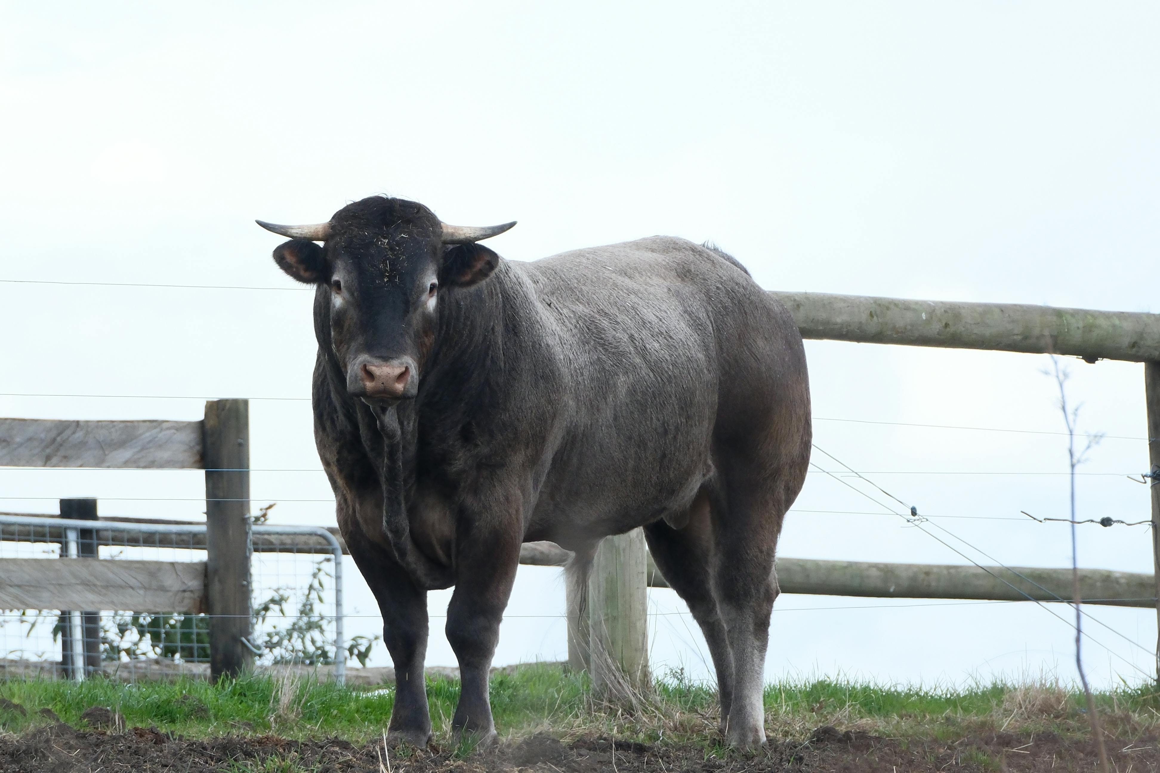財經：智通ADR統計解析：10月24日港股表現一覽