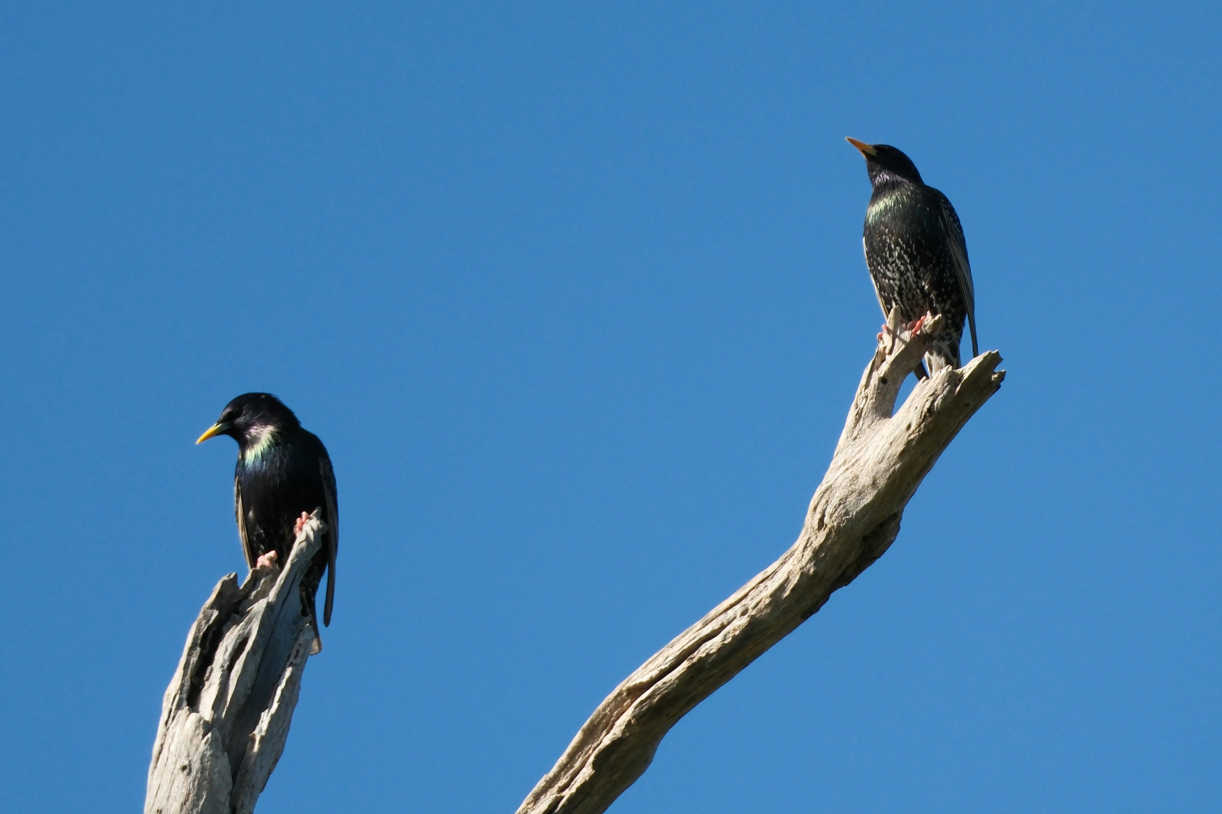 房貸繳完 野原廣志換 Mazda CX-60 升級爸爸生活