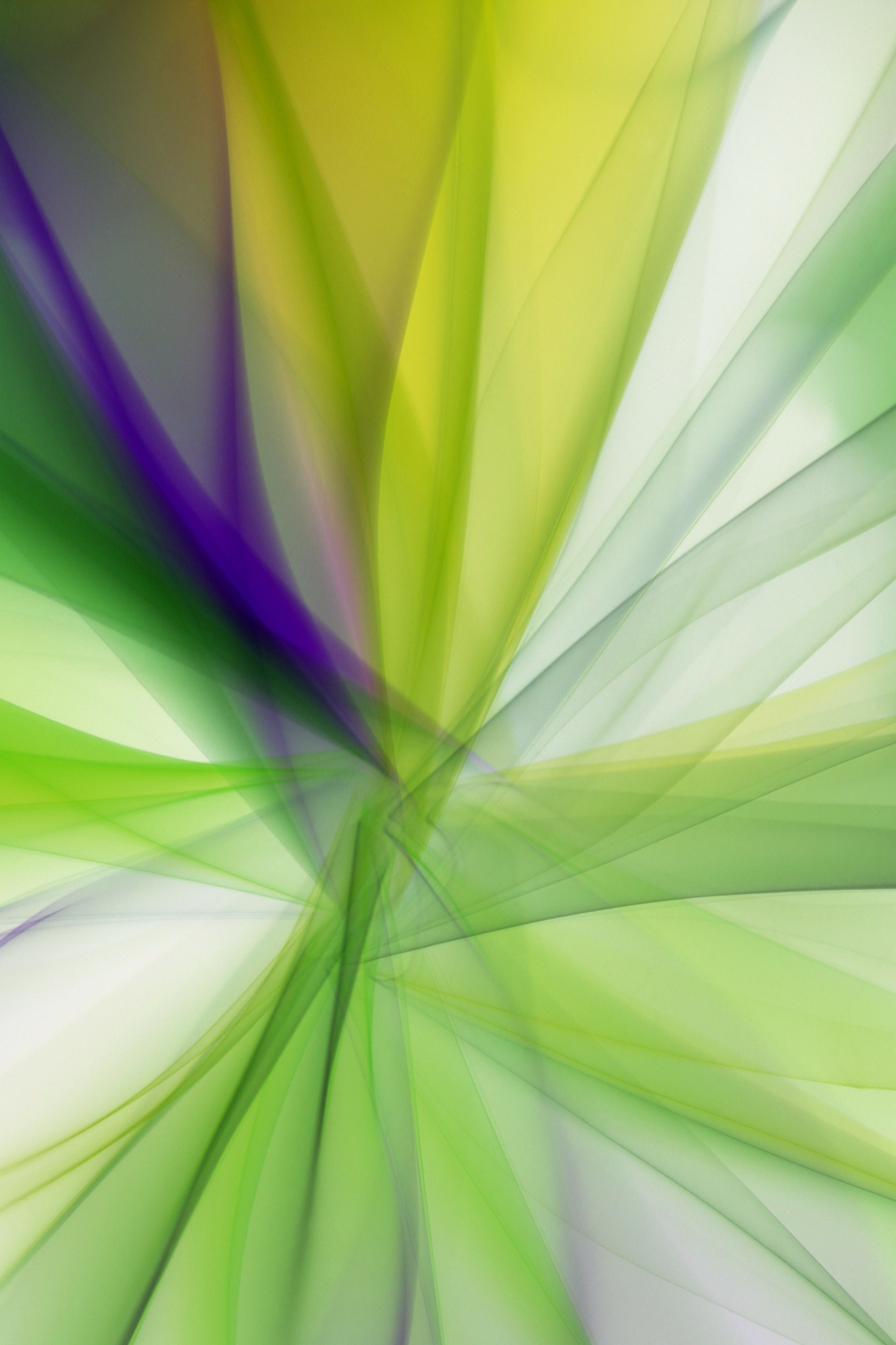 Vibrant abstract design with dynamic green and purple shapes blending in a fluid motion.