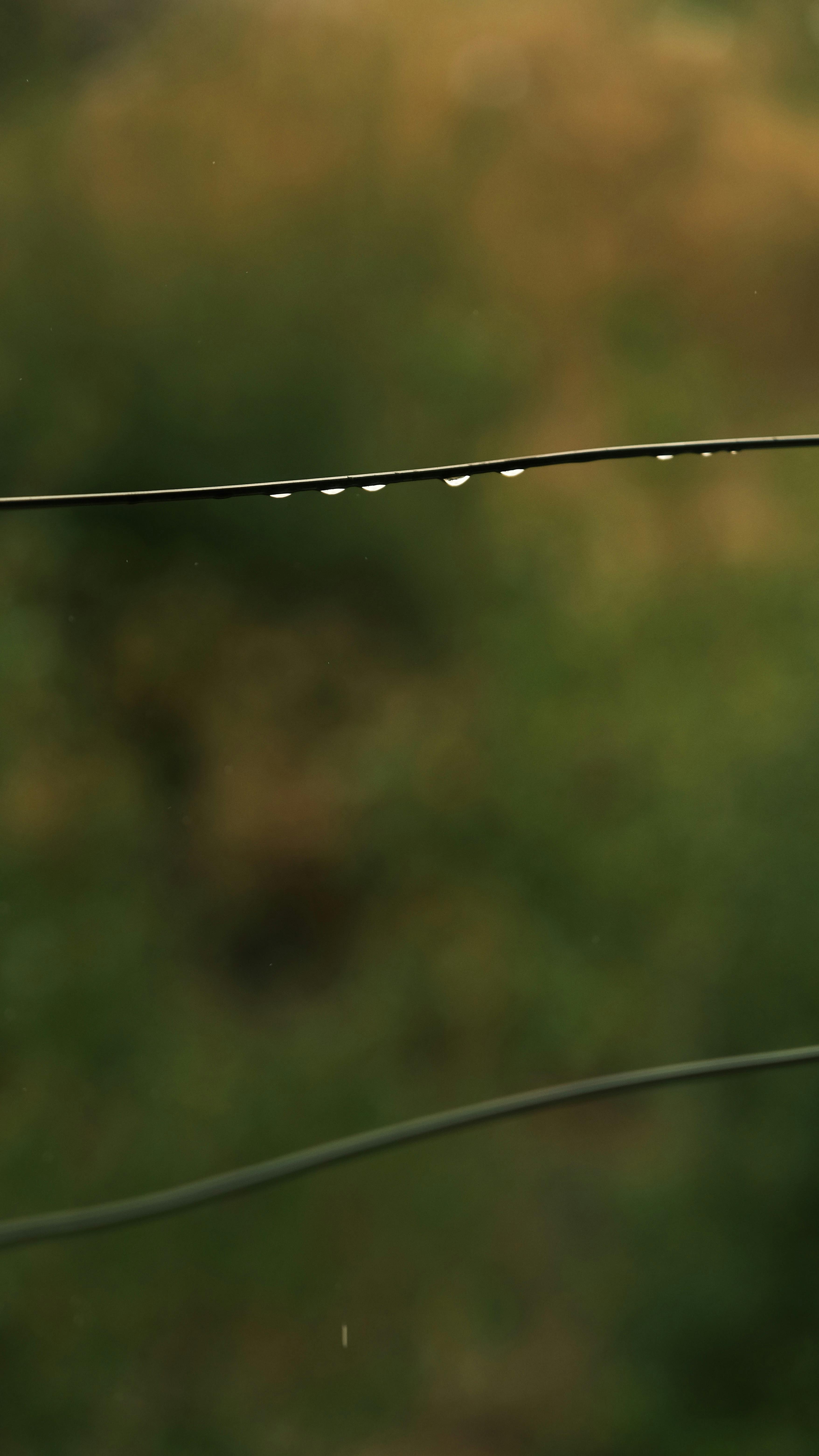 Free Close-up of raindrops on a wire with a blurred green and brown background. Stock Photo