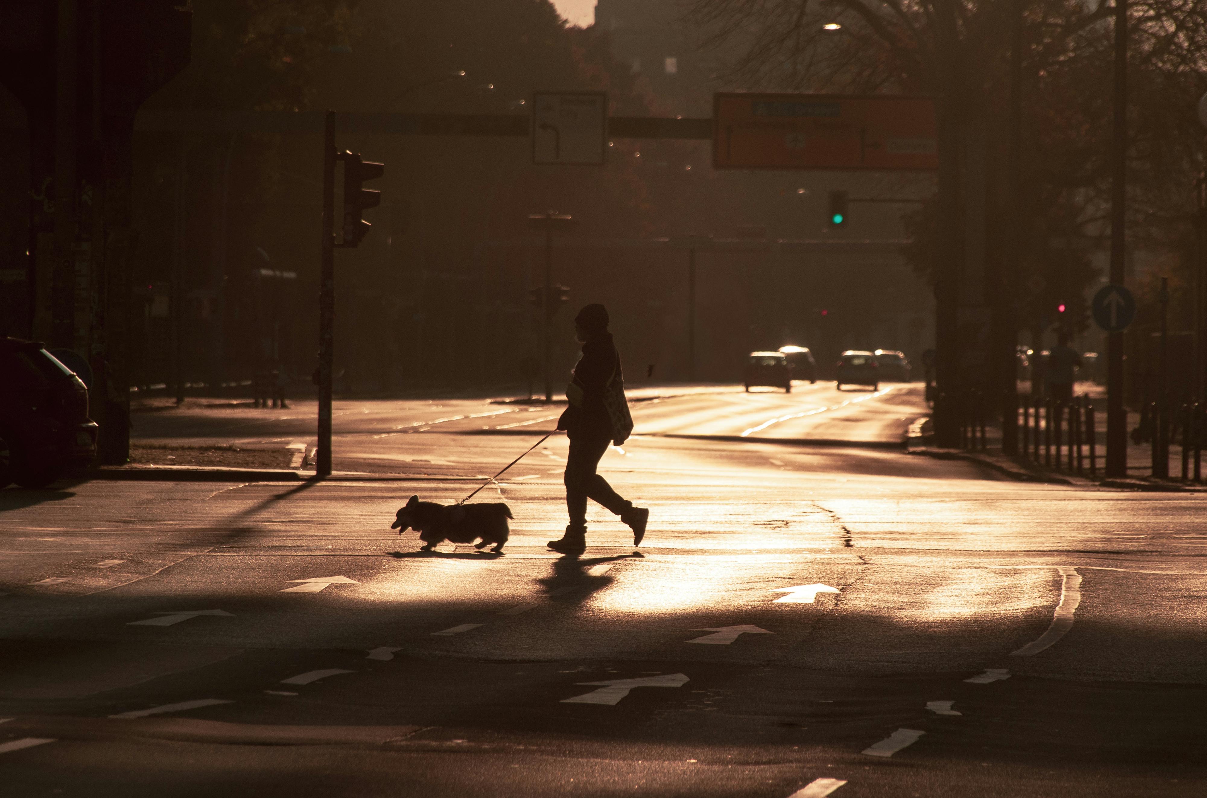 2025年竹市科技執法前五大取締路口出爐　第一名地點揭曉