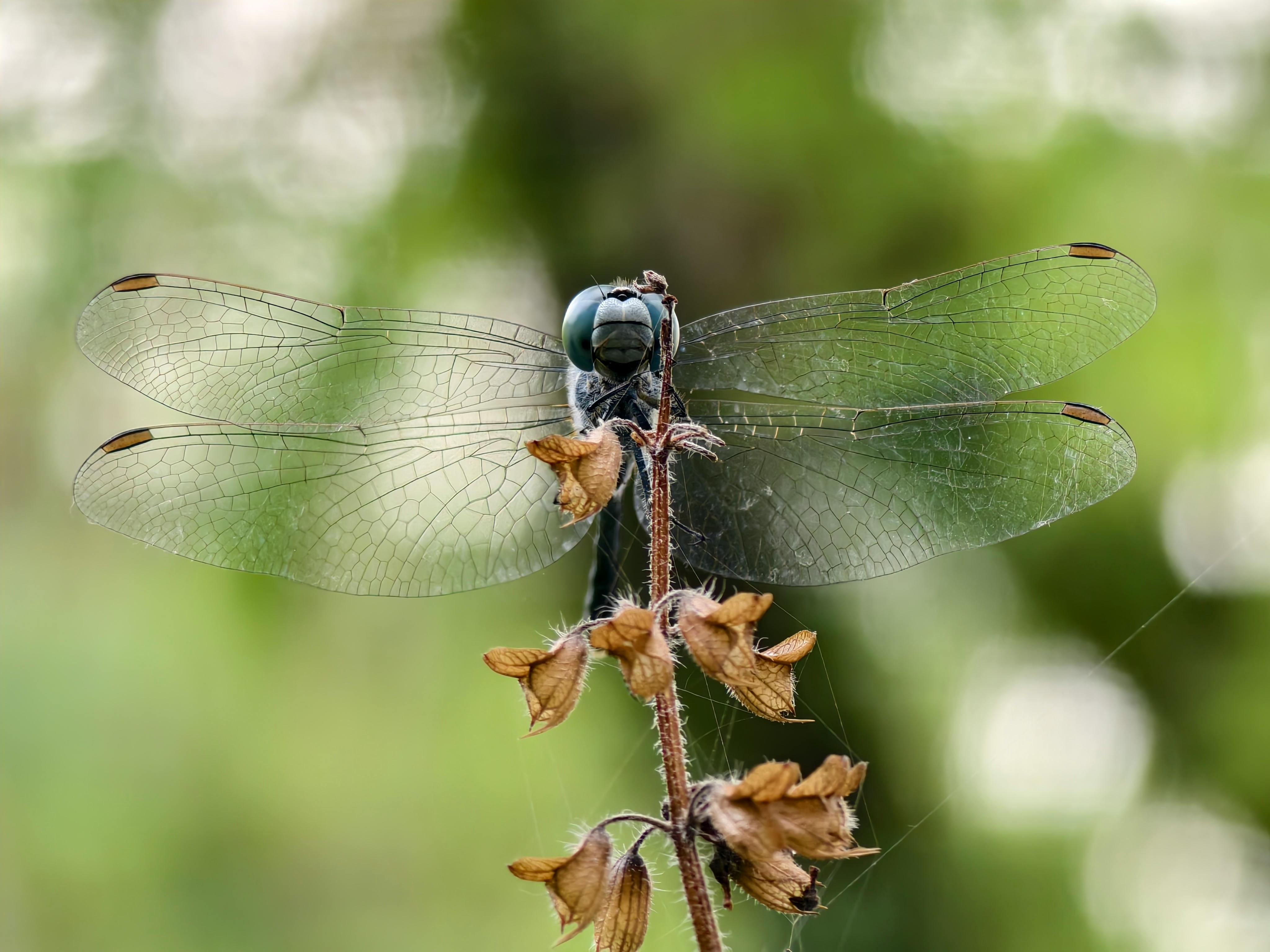 澎湖縣表揚績優清潔人員 陳光復強調公私協力推動綠生活