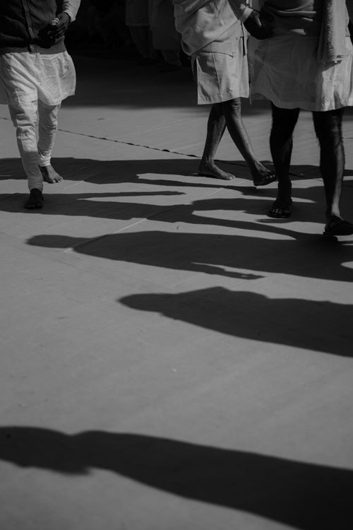 Free Silhouetted figures cast distinct shadows on the ground as they walk. Stock Photo