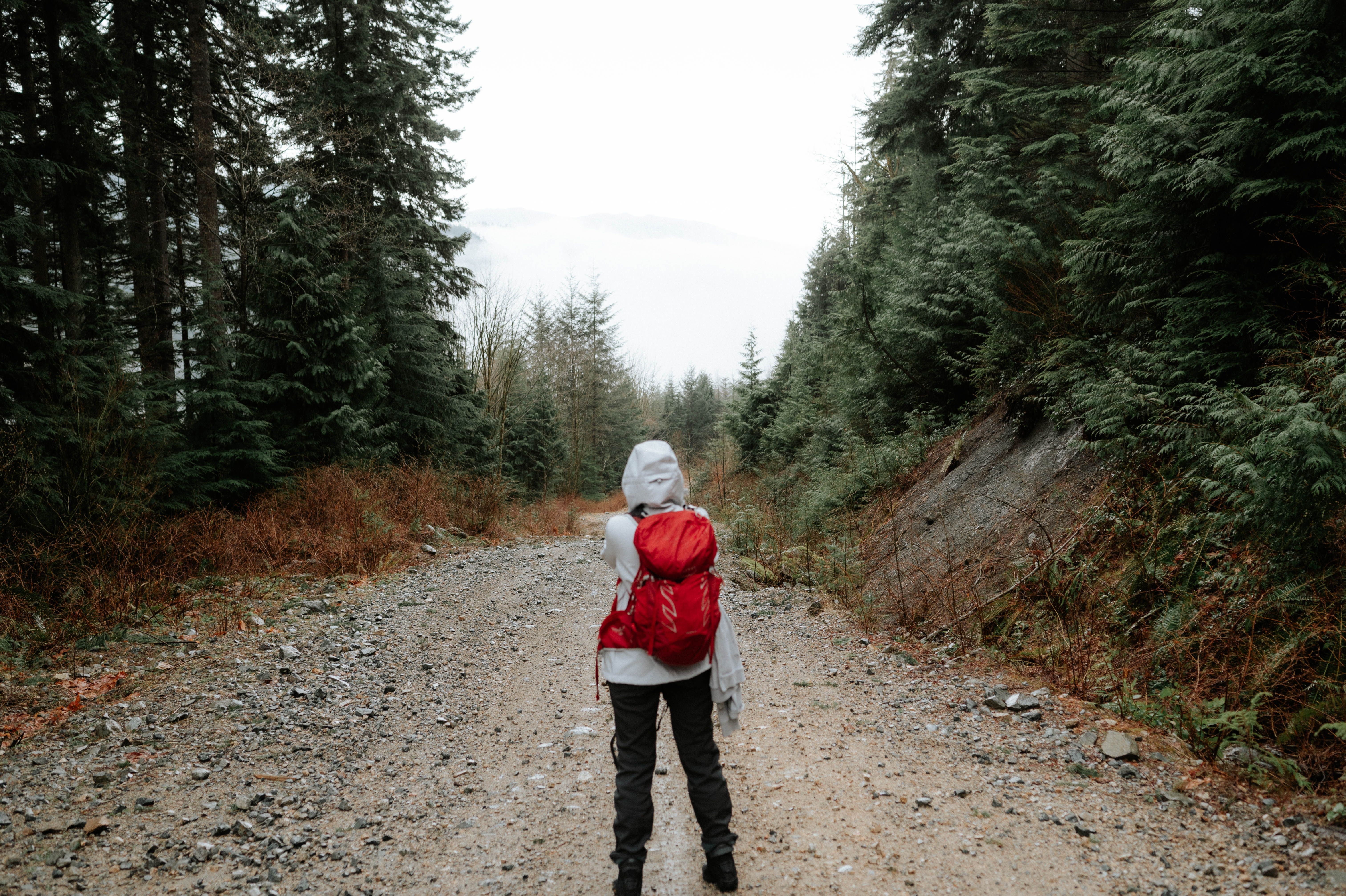 Hiker with Red Backpack on Forest Trail · Free Stock Photo