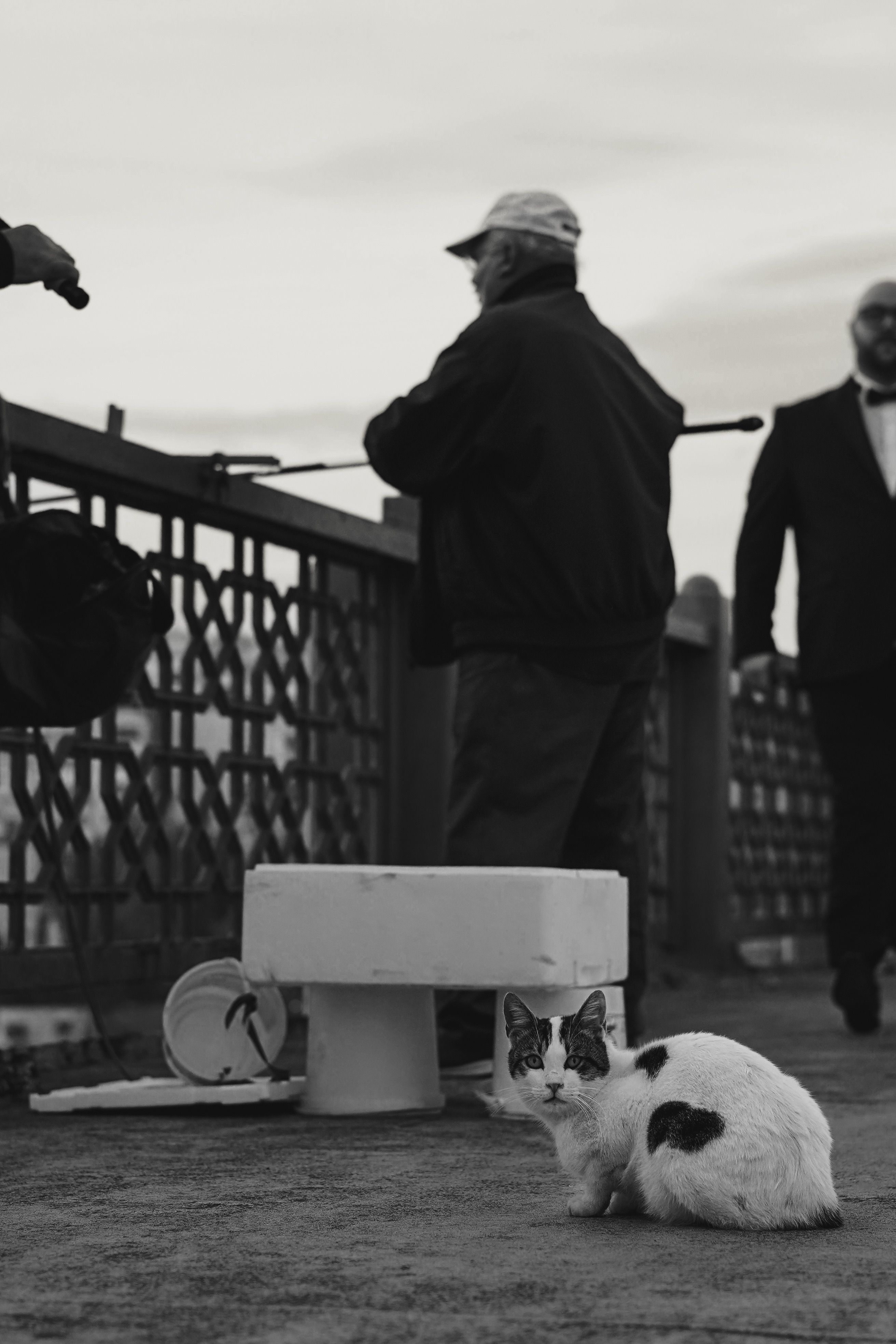 Black and White Street Scene with Cat and Fishermen · Free Stock Photo