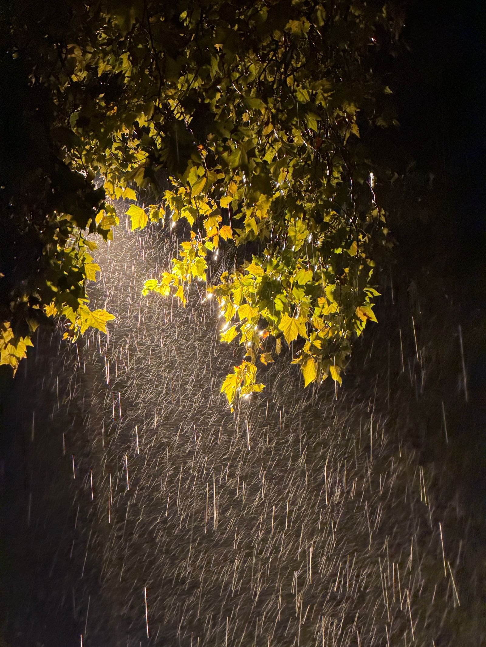 pluie