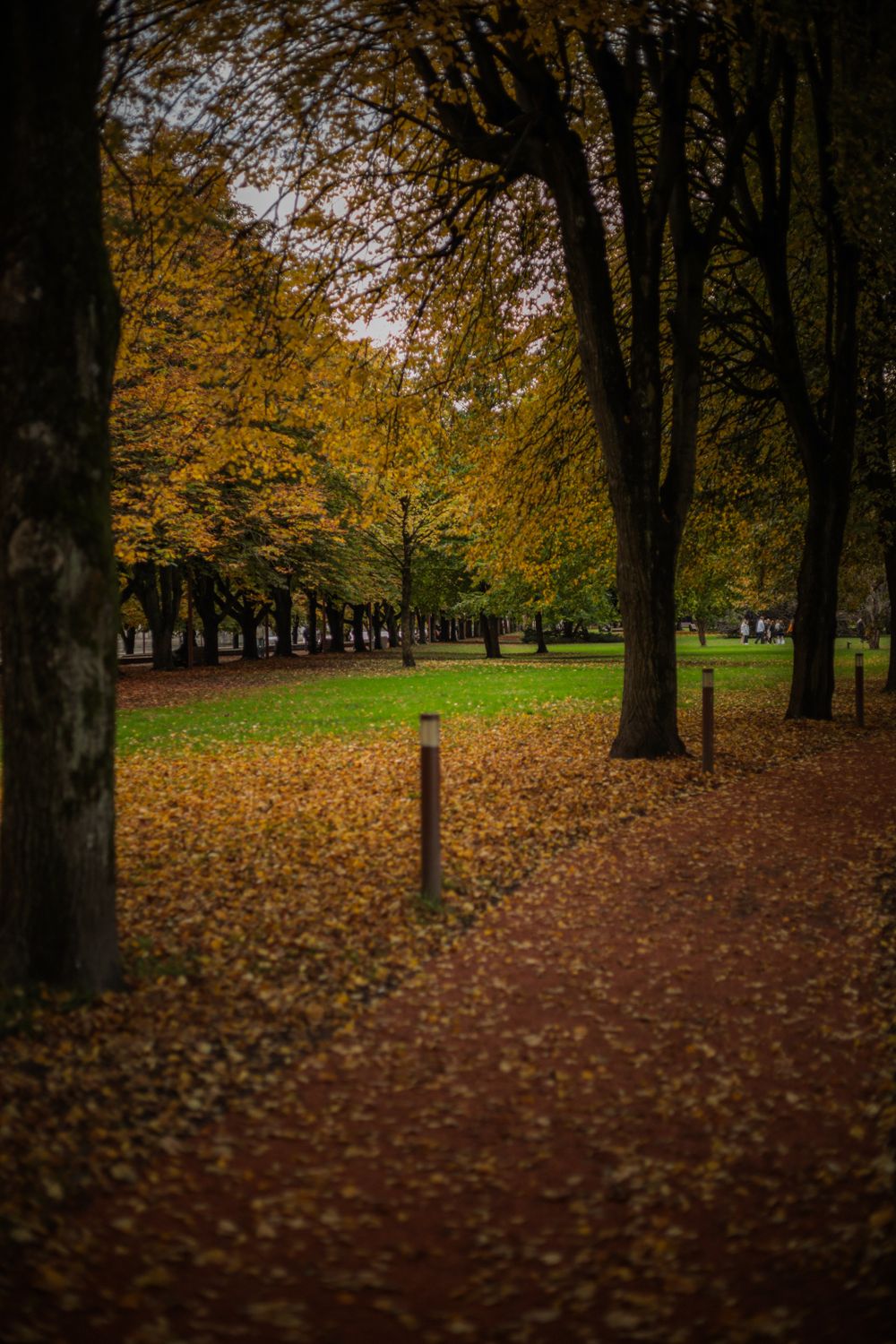 Scenic Park Pathway in Vibrant Autumn Colors · Free Stock Photo