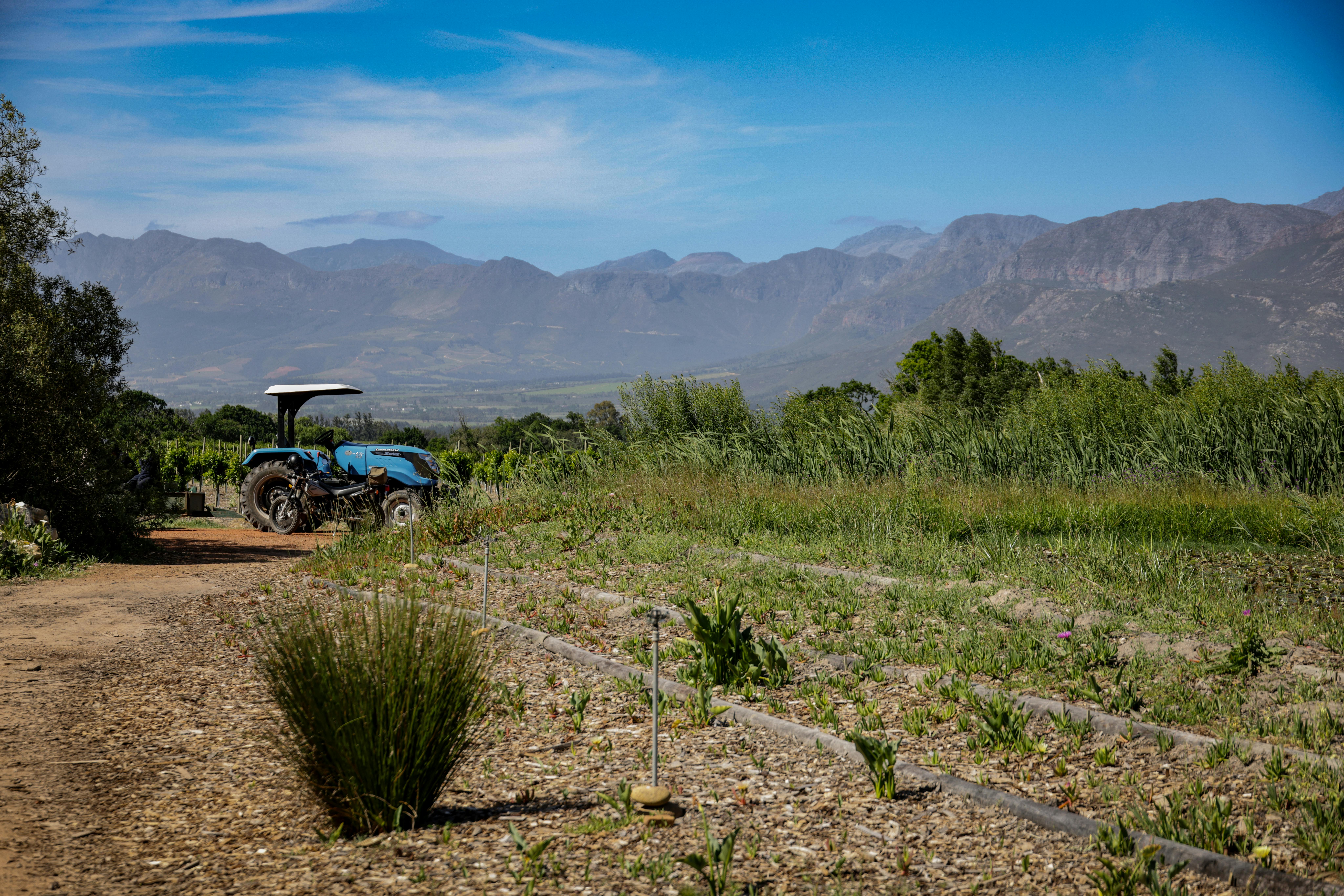 Exploring the Future of Quantum Computing