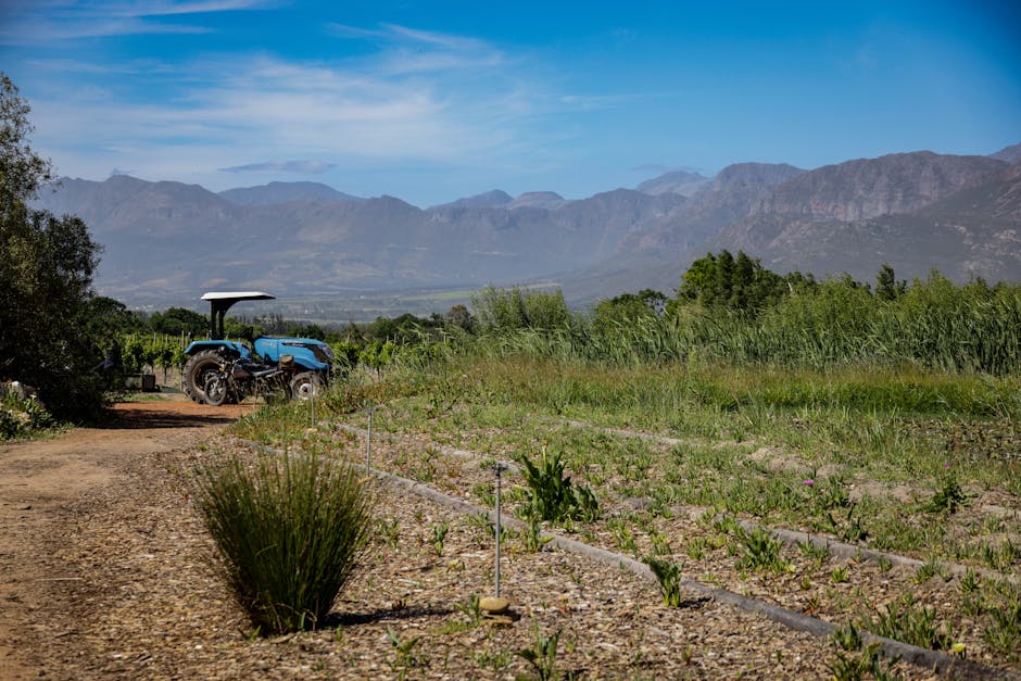 臺灣食農科技創新 助力全球糧食安全抗風險