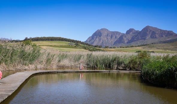 Stellenbosch, South Africa photo 11