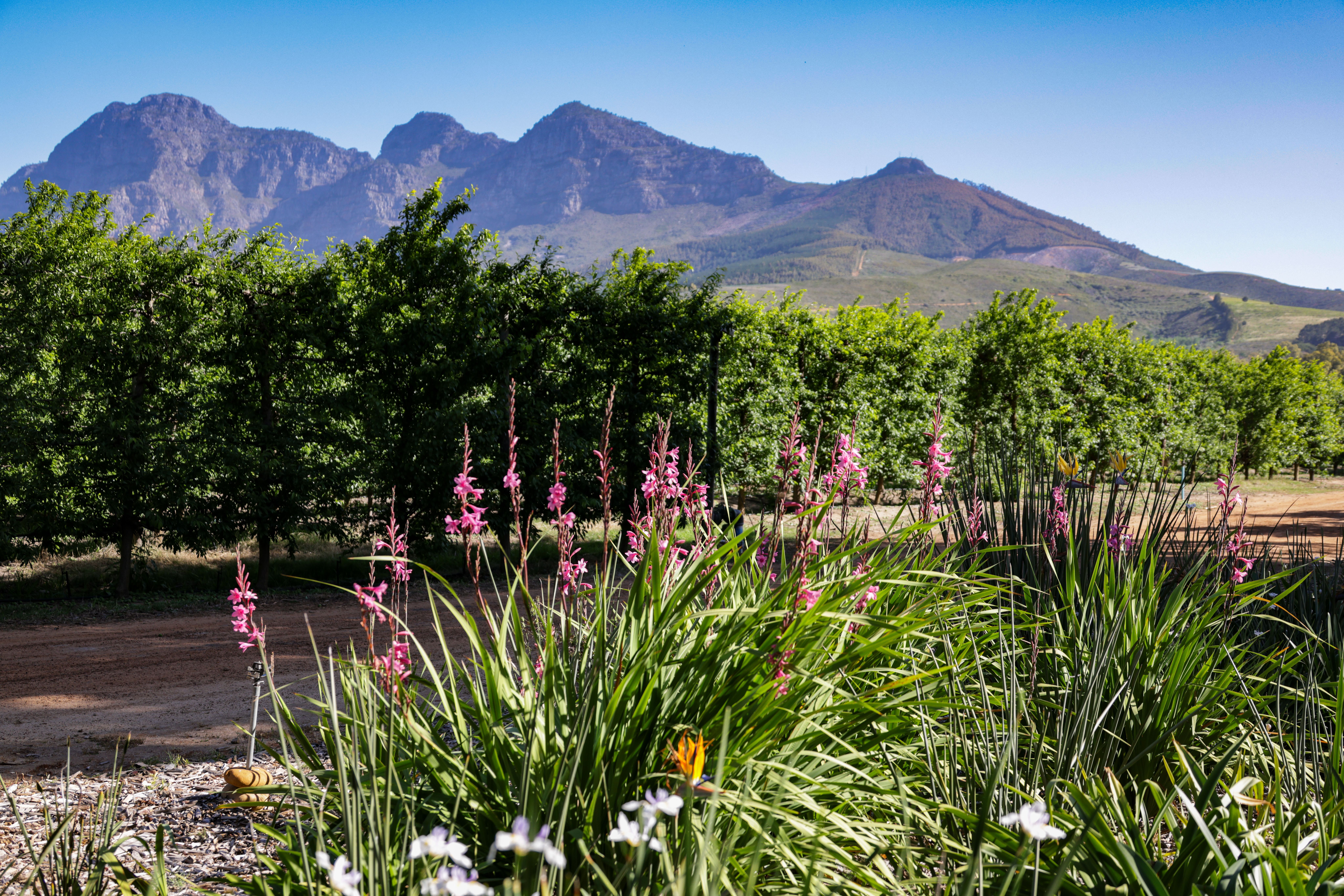 Paysage de nature et montagnes