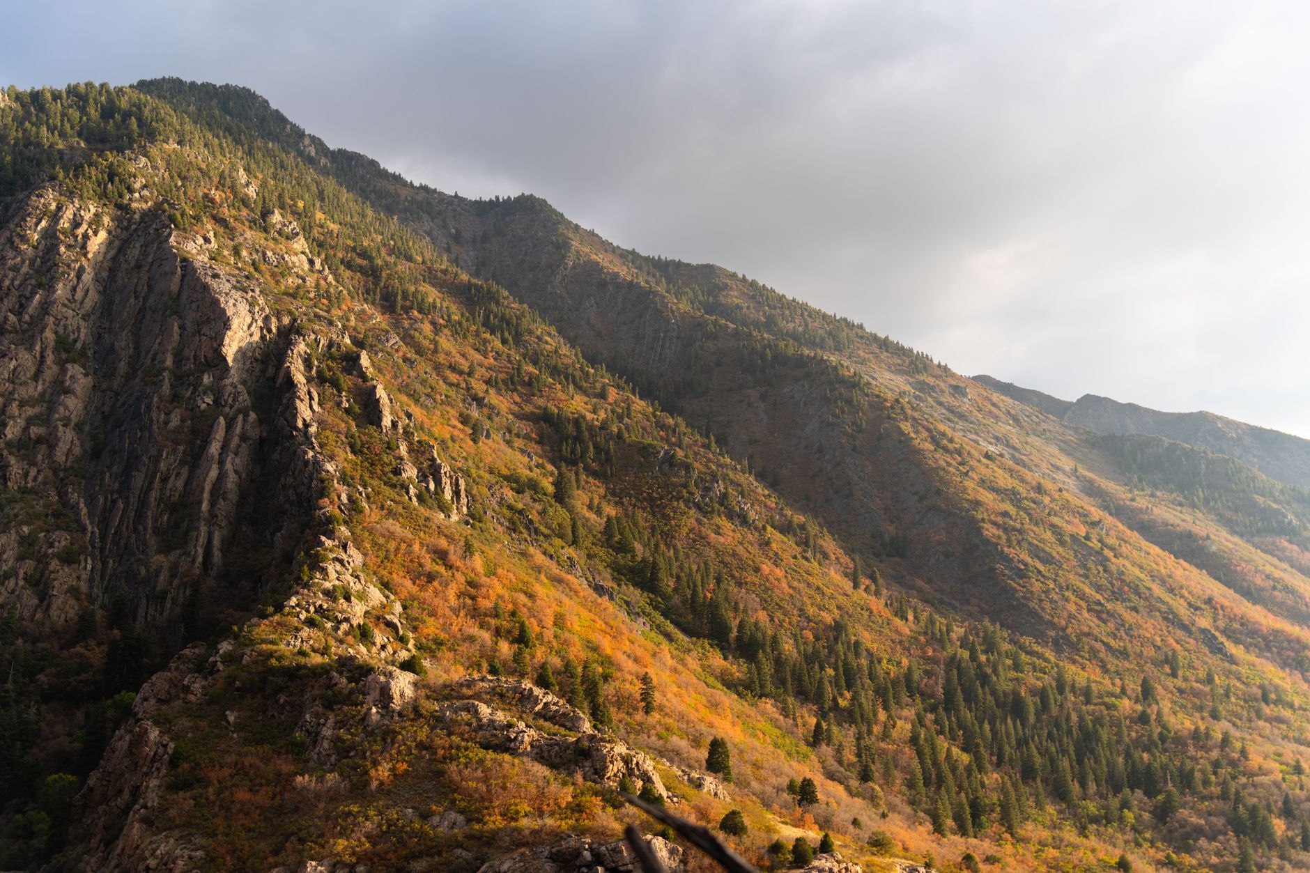 Stunning fall foliage covering mountainous landscape in Big Cottonwood Canyon, Utah.