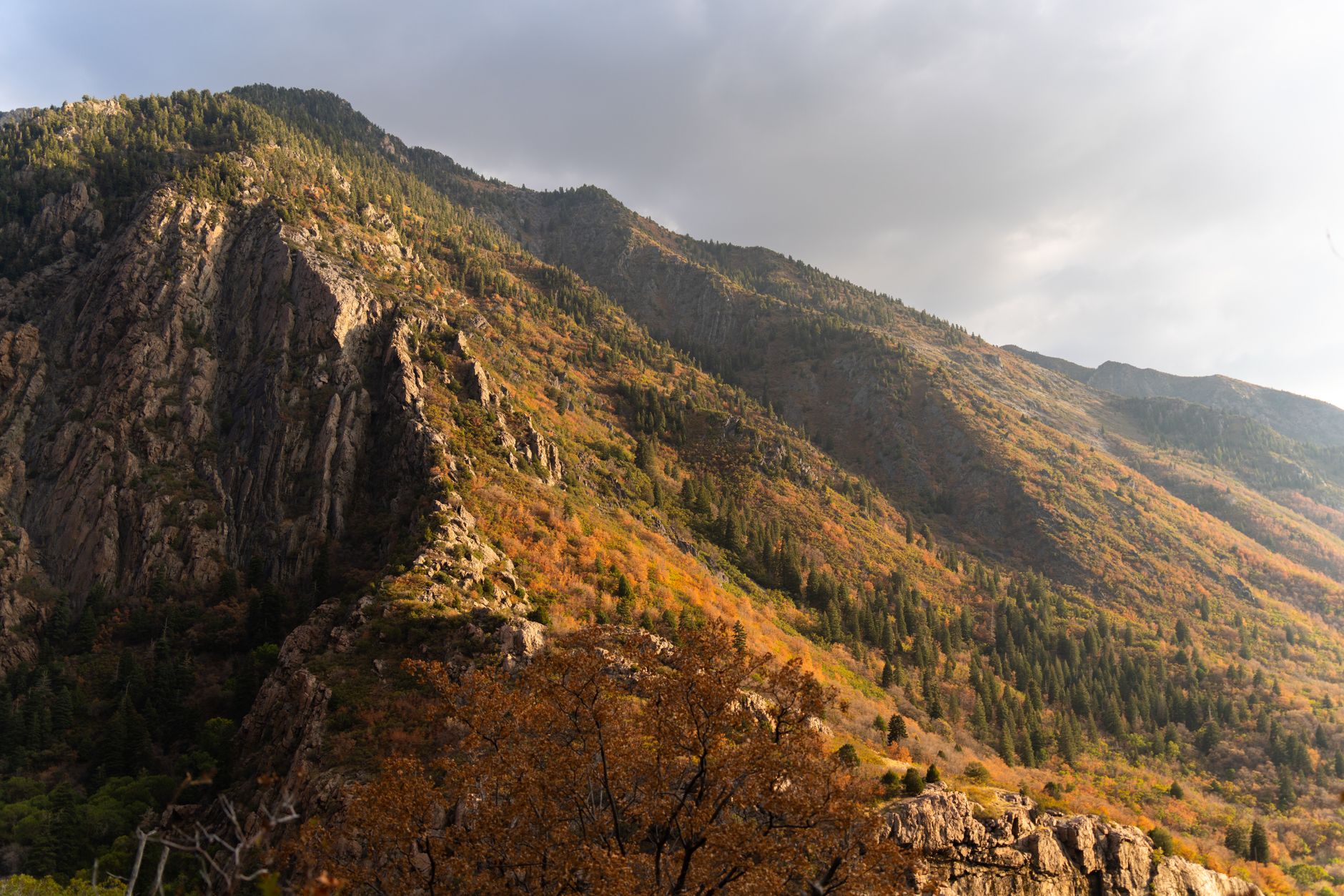 Beautiful autumn landscape in Cottonwood Canyon, Utah with vibrant fall foliage.