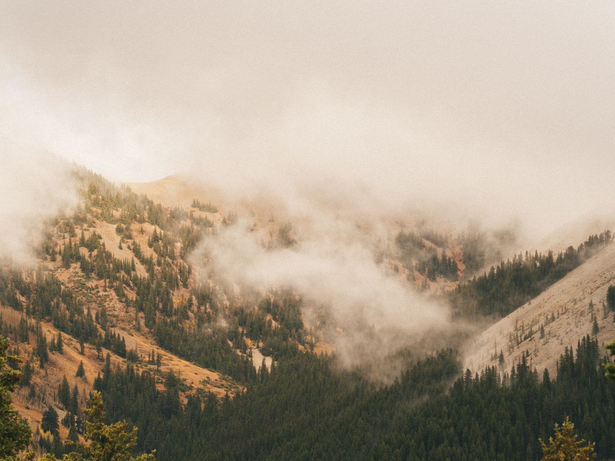3 Day Ayahuasca Ceremony Weekend Near Seattle, WA, USA 1