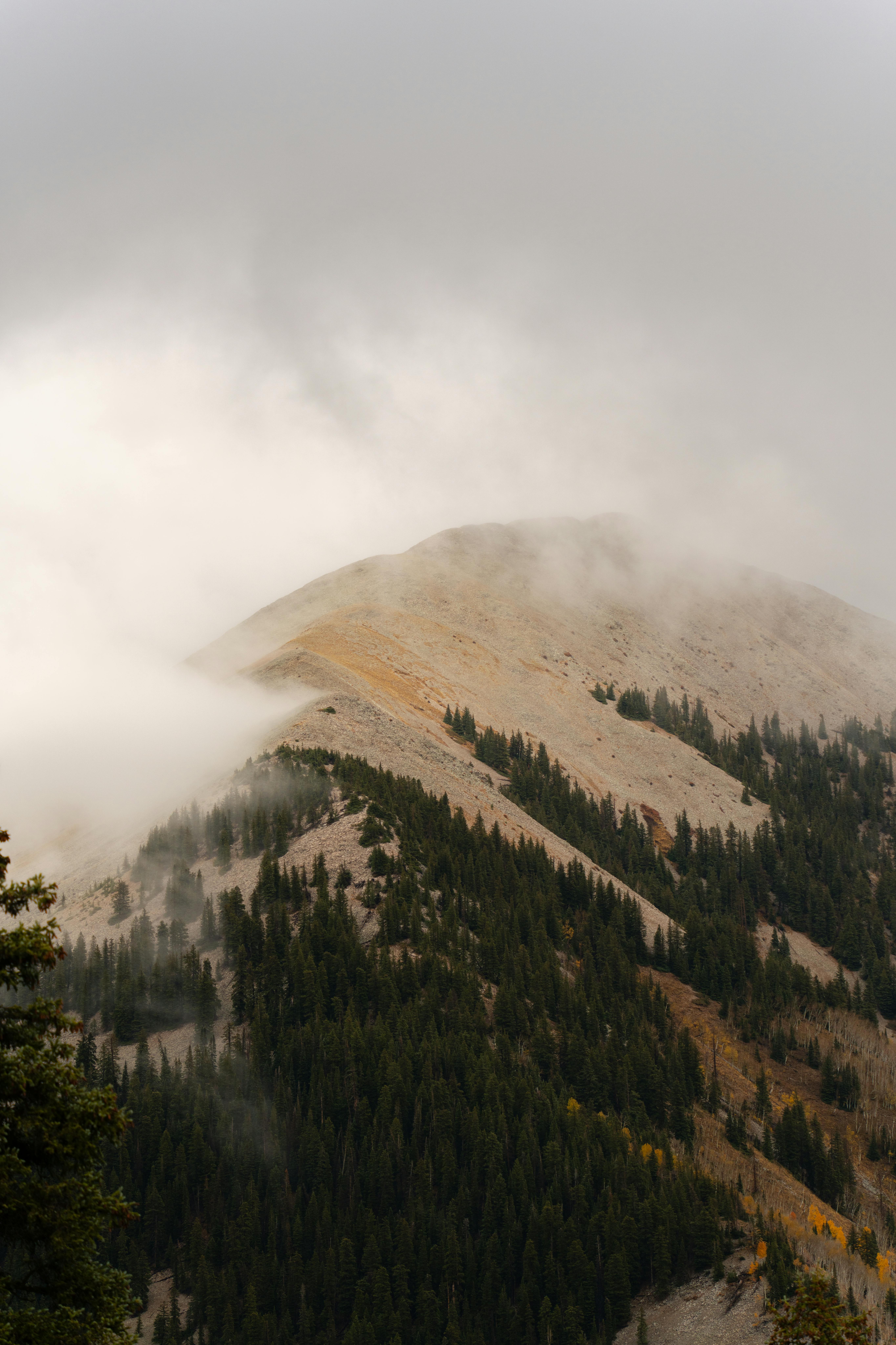 Capture of a mist-covered mountain in Utah's La Sal Range, showcasing the natural beauty of fall.