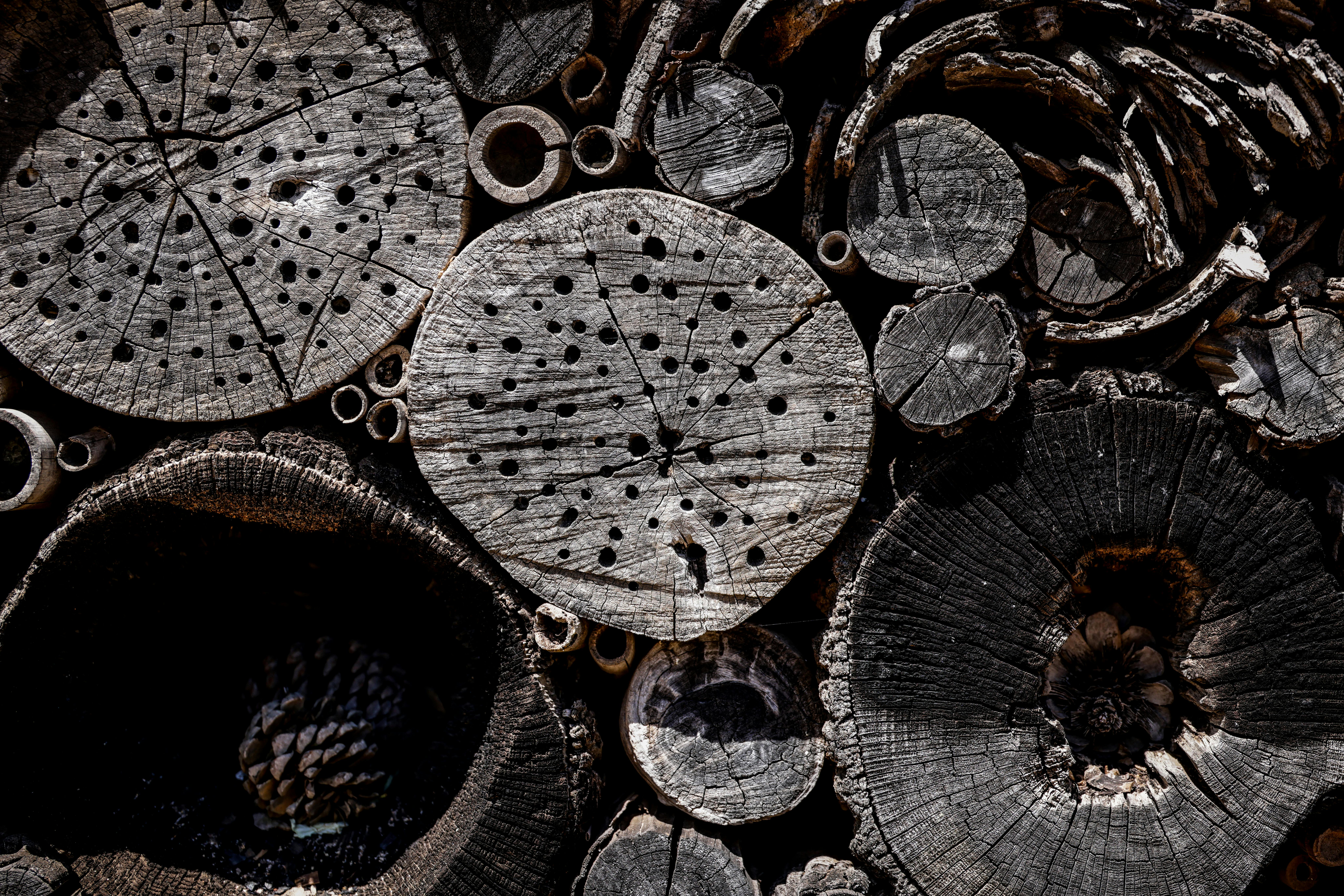 Creating Sustainable Homes: A Guide to Eco-Friendly Living