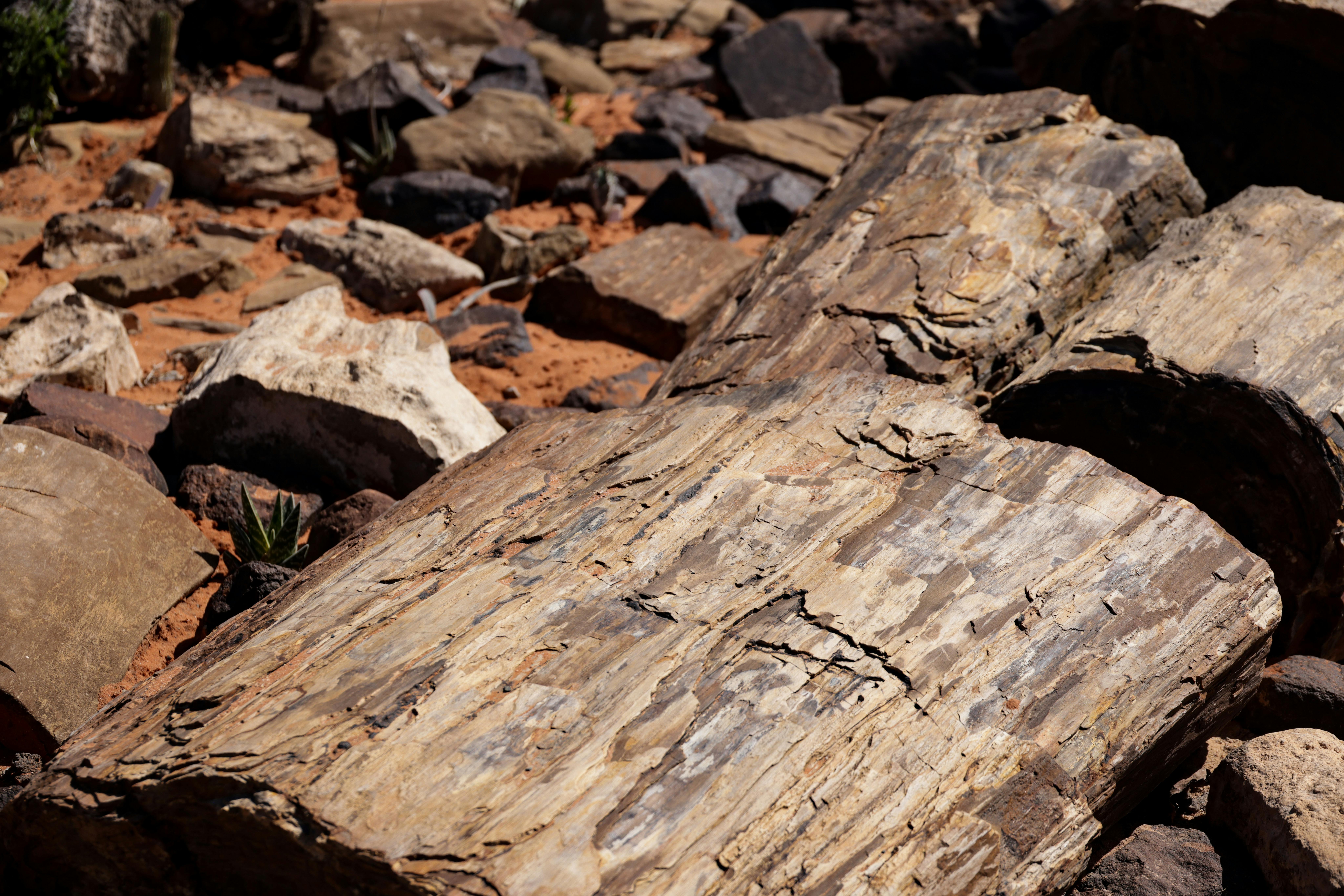 Surprising Ways Ancient Wisdom Boosts Modern Leadership