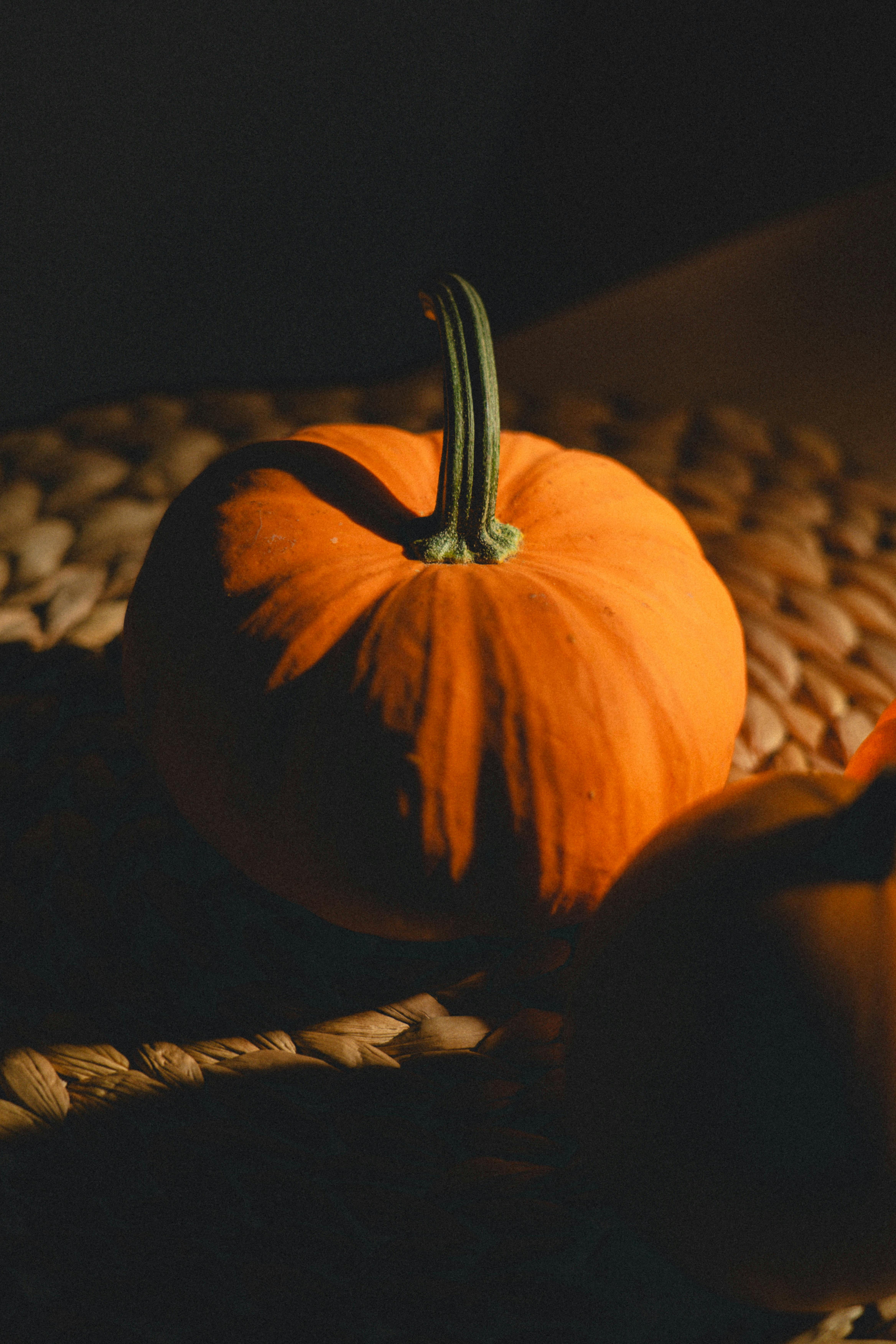 grátis Uma natureza morta aconchegante de uma abóbora laranja com iluminação quente, perfeita para temas de outono. Foto profissional