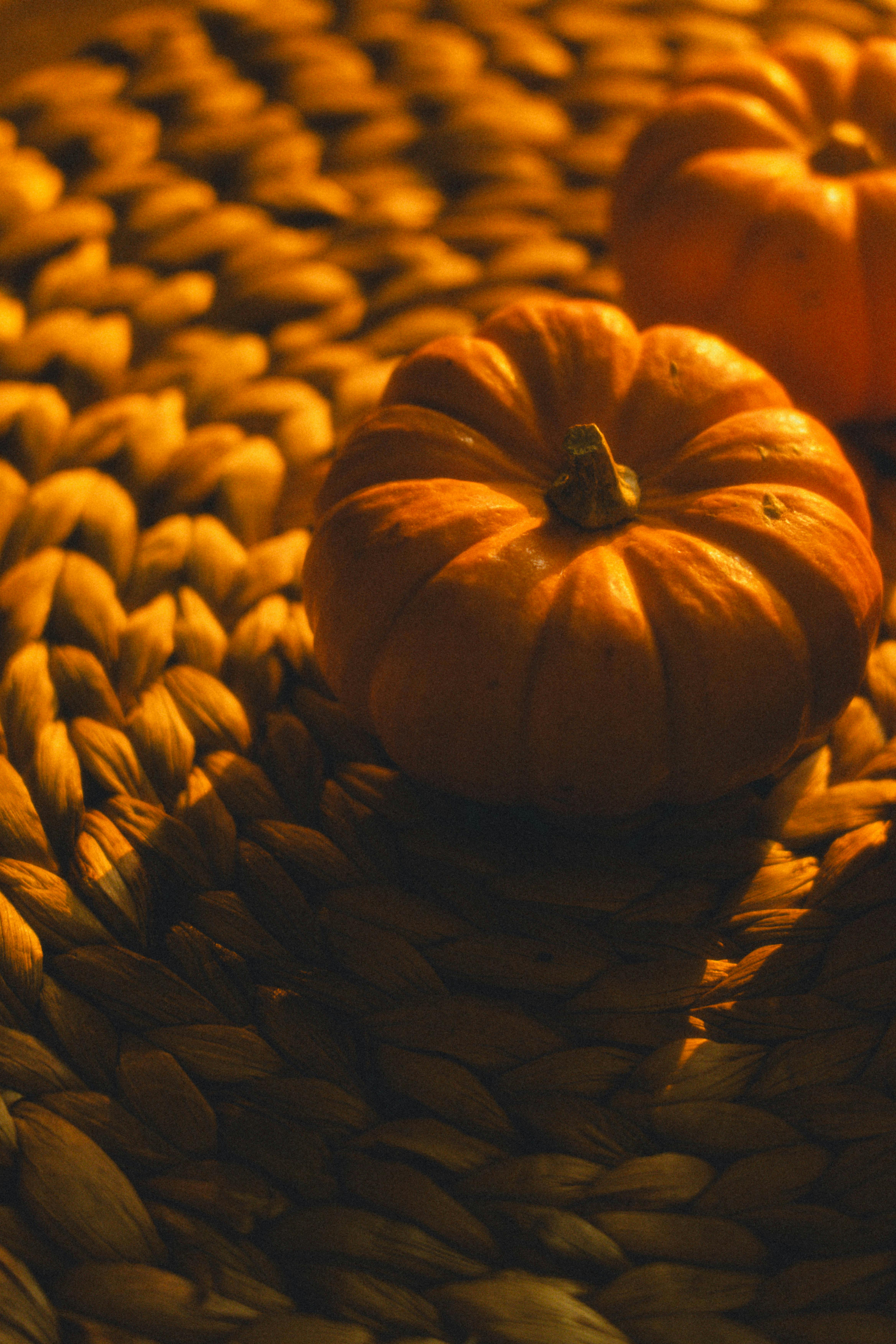 無料 質感のある織りマットの上に小さなカボチャを描いた素朴な秋の静物画。 写真素材