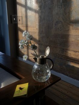 Soft morning light illuminates a glass jug with white flowers, creating an artistic still life.