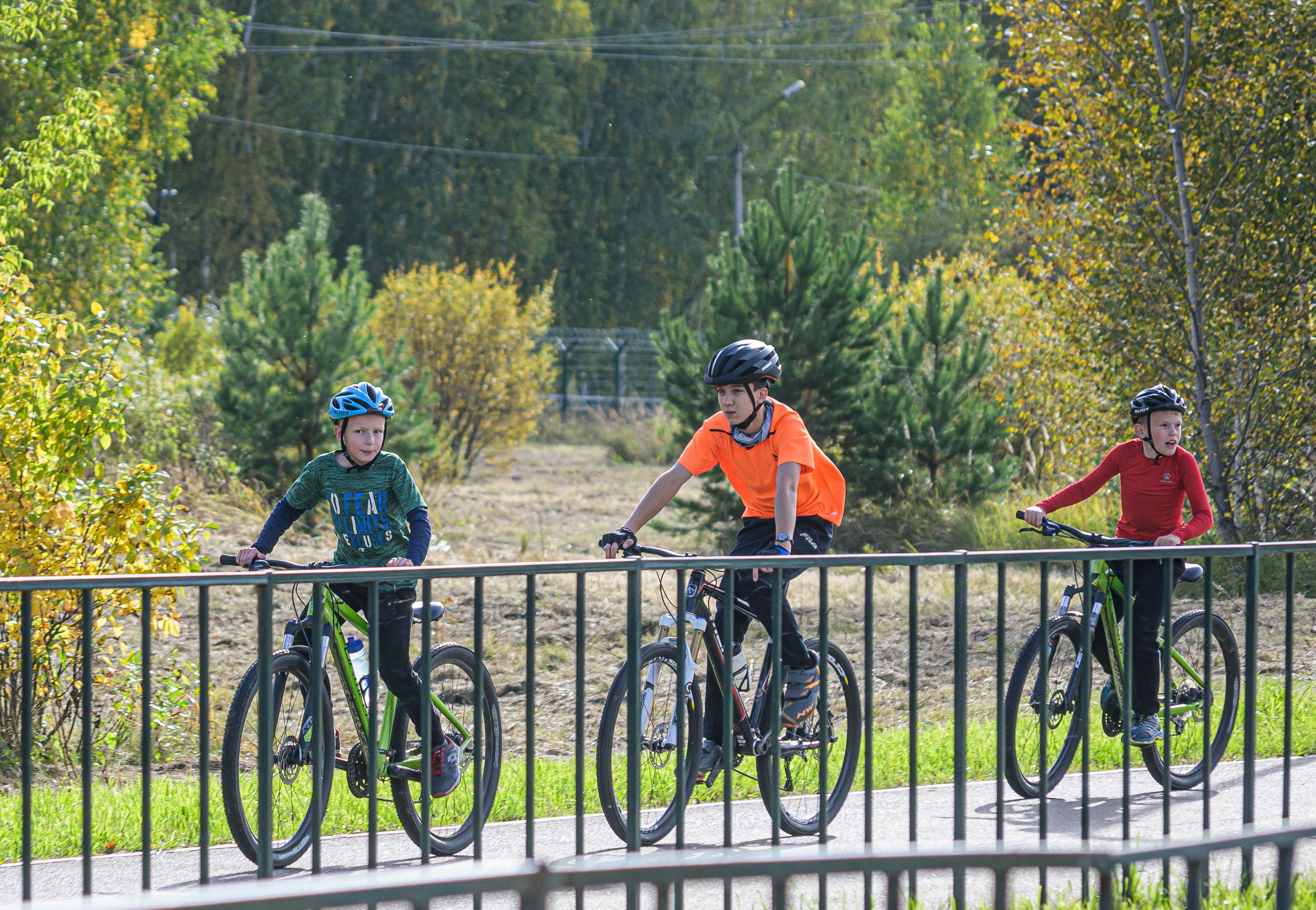 Three children riding bicycles on a sunny day along a park pathway, surrounded by greenery.