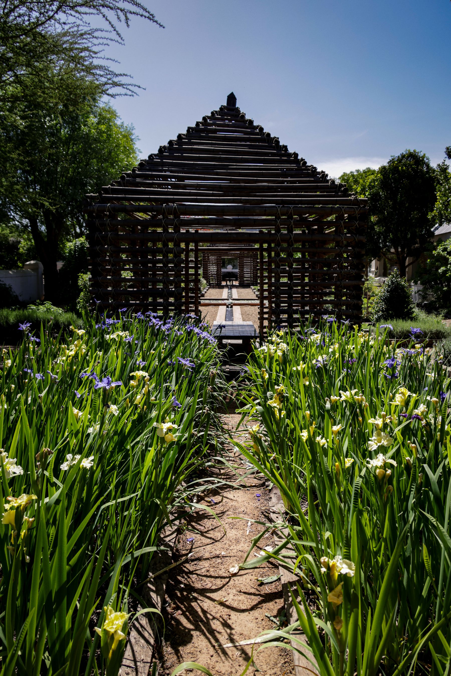 Pergola en bois dans un jardin résidentiel