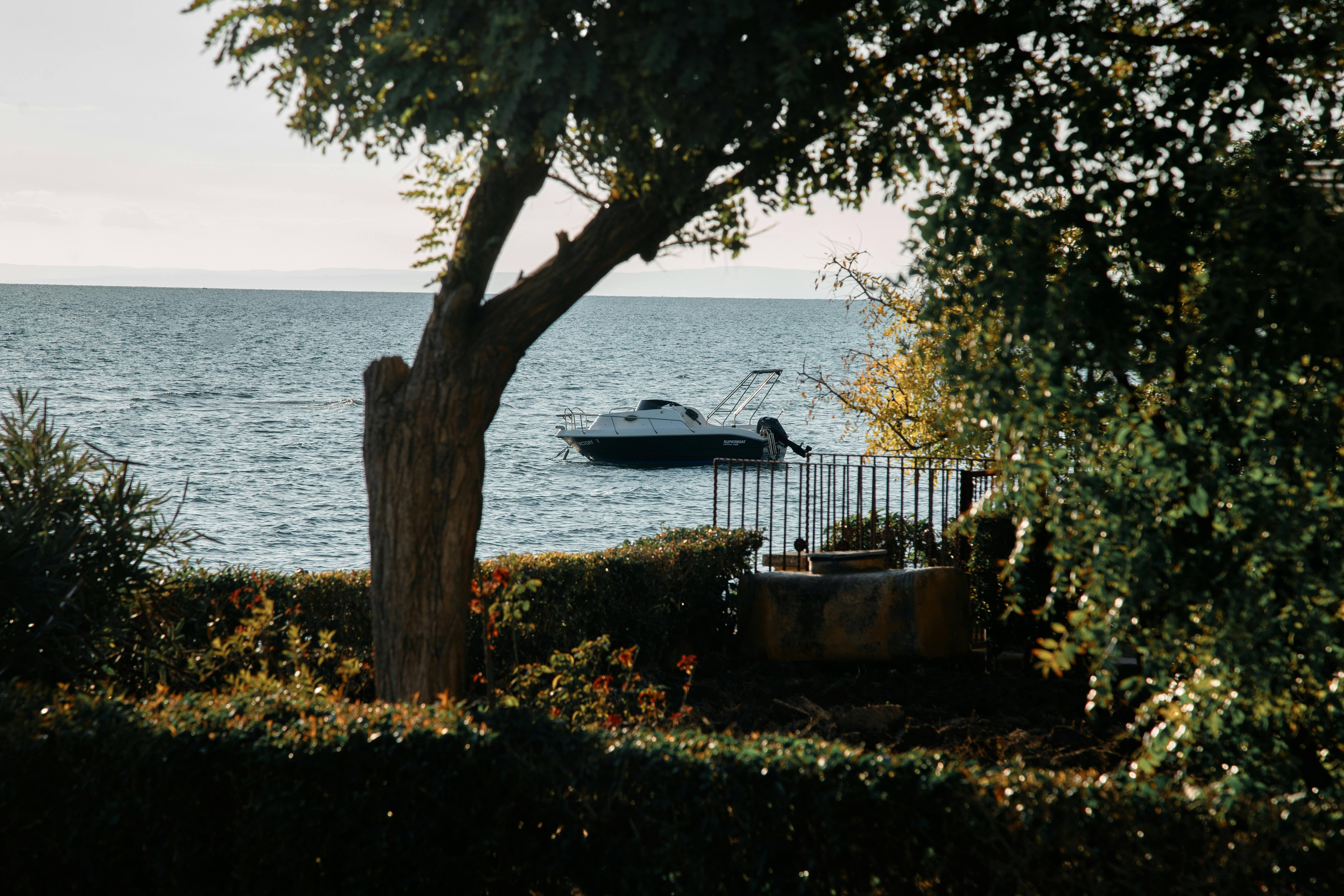 A tranquil lake view with a boat framed by lush greenery, showcasing a peaceful outdoor setting.
