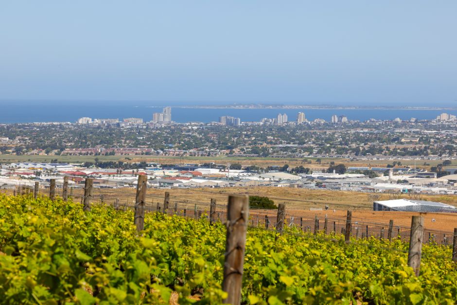 South Australian Government Cites Past Parklands Projects to Justify MotoGP Circuit Works