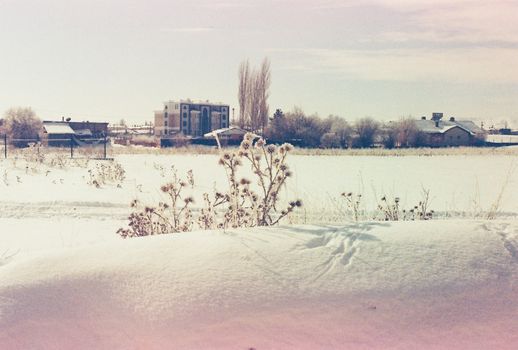 Vintage film photograph capturing a snowy landscape in Sivas, Türkiye with a serene winter atmosphere.