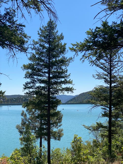 Free Crystal clear lake surrounded by alpine forest and mountains in Ruidoso, New Mexico. Stock Photo
