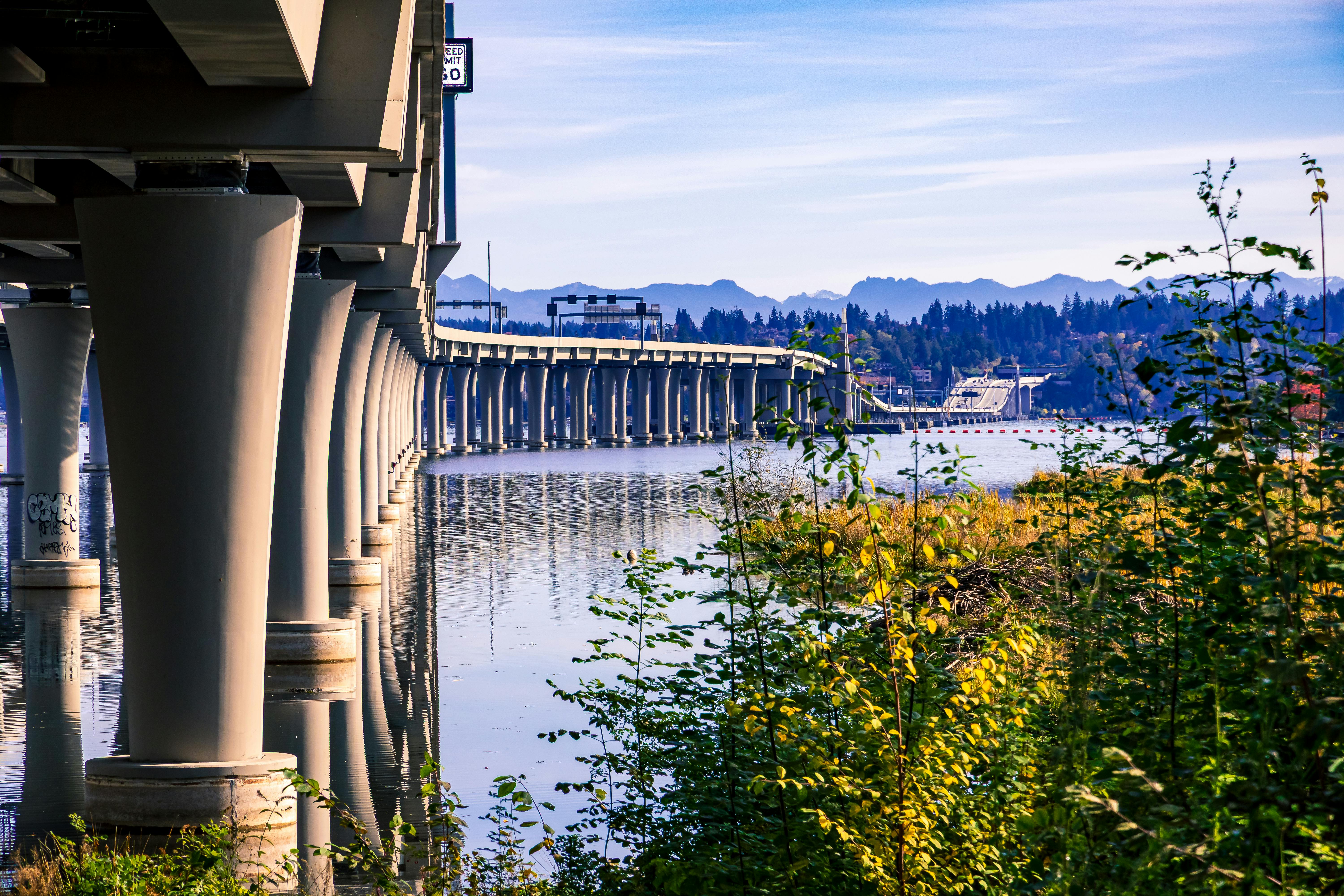 Comprehensive Guide to Brain Injury Support and Caretaking Support Groups