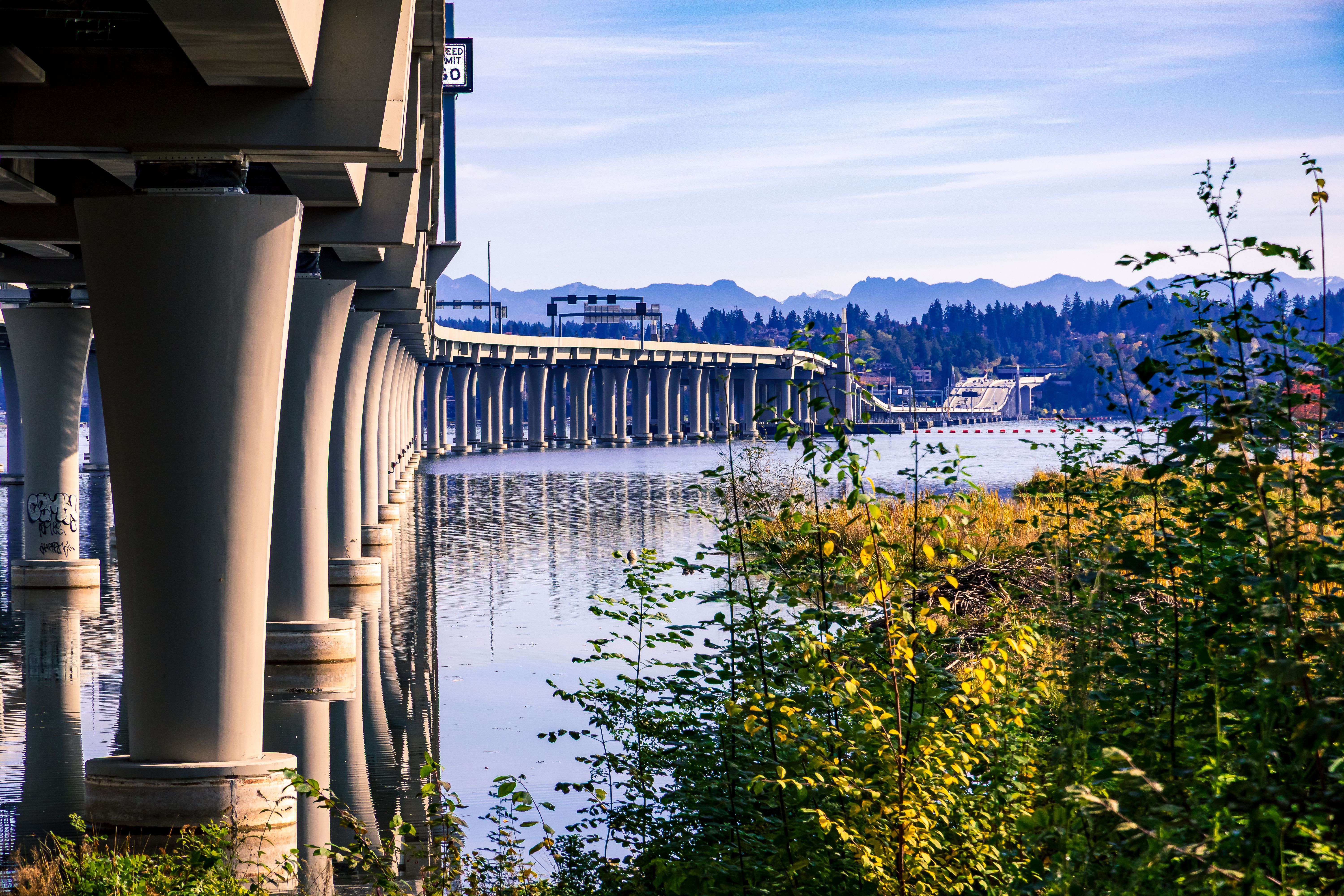 Scenic Bridge View Over Tranquil Waterway · Free Stock Photo