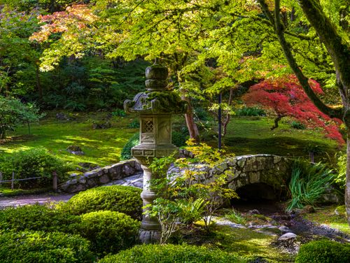 Free Peaceful Japanese garden with vibrant foliage and traditional stone lantern. Stock Photo