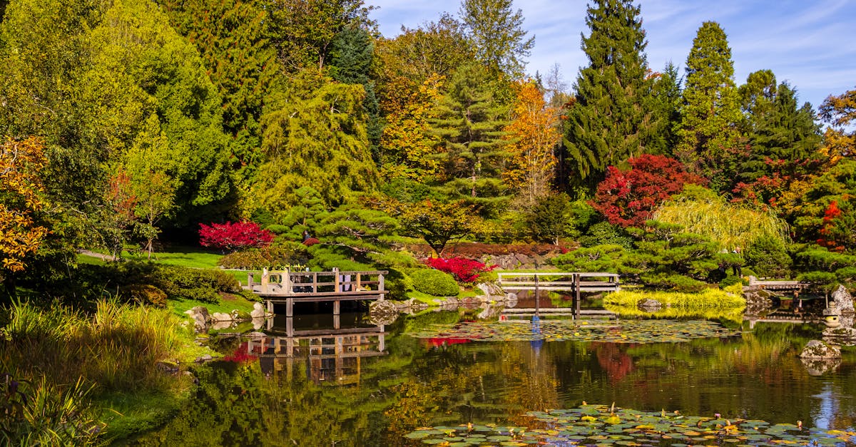 2024年GMARCH合格新趋势分析 2024年GMARCH合格新趋势分析